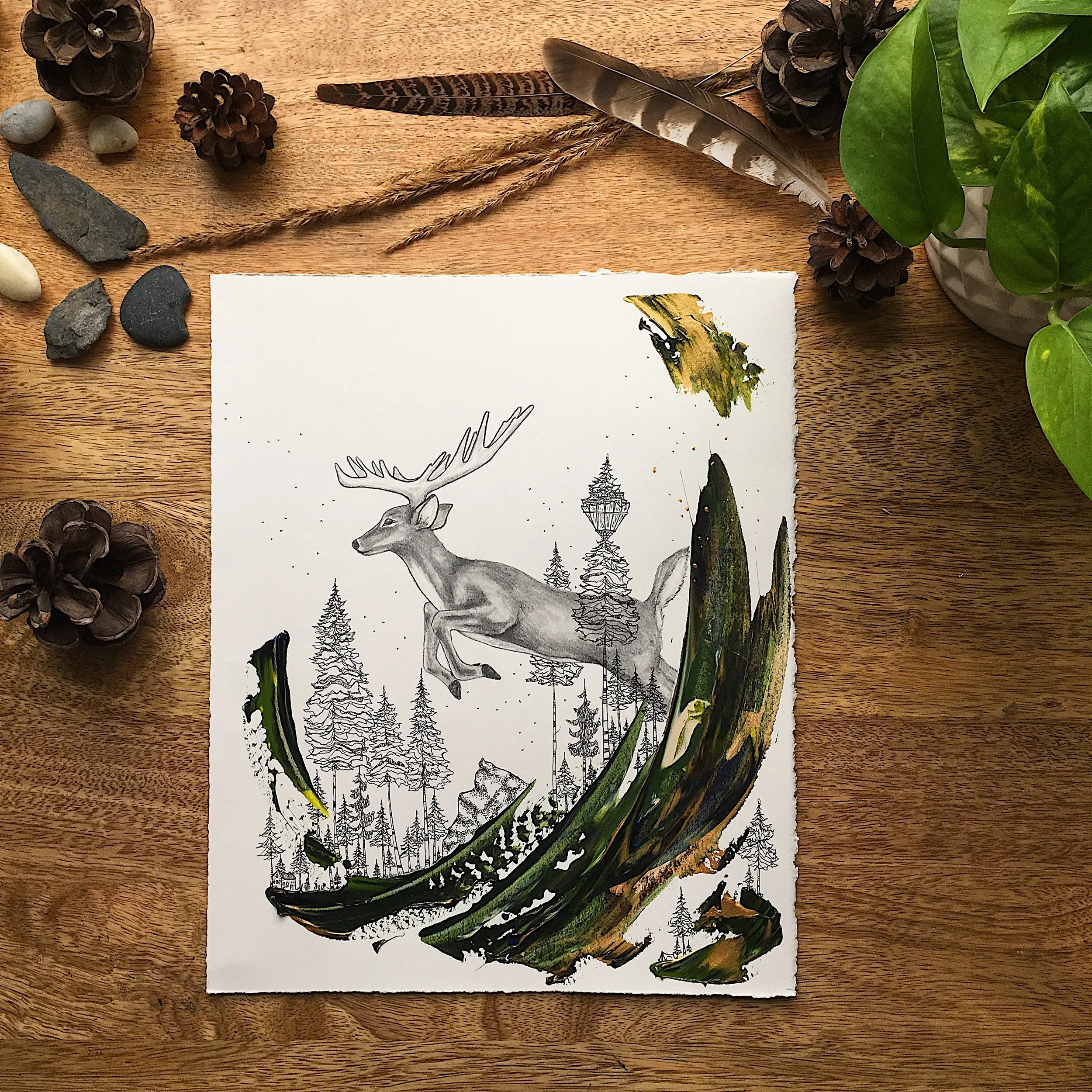C. Medium Animalia Daydream