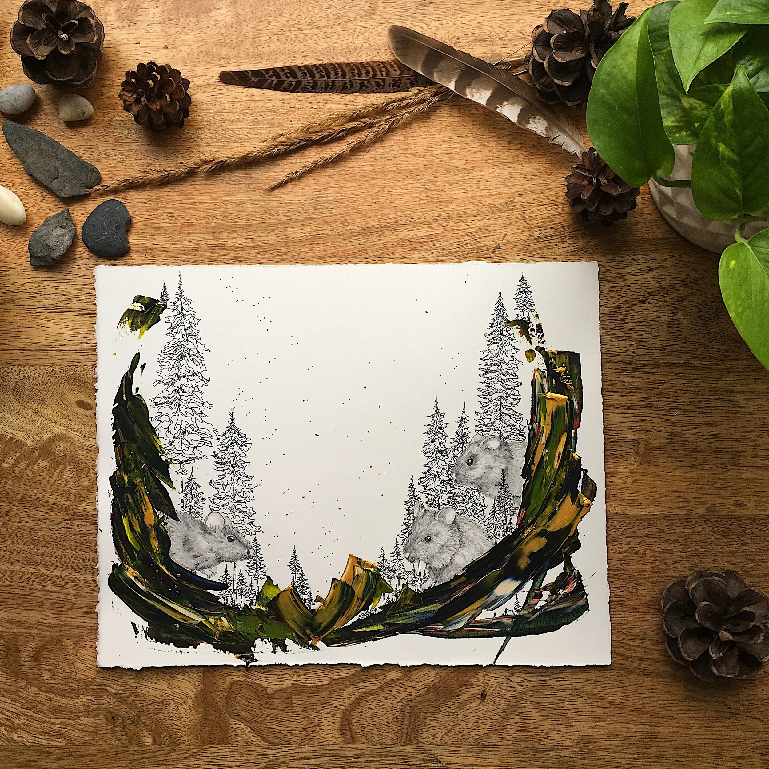 D. Medium Animalia Daydream