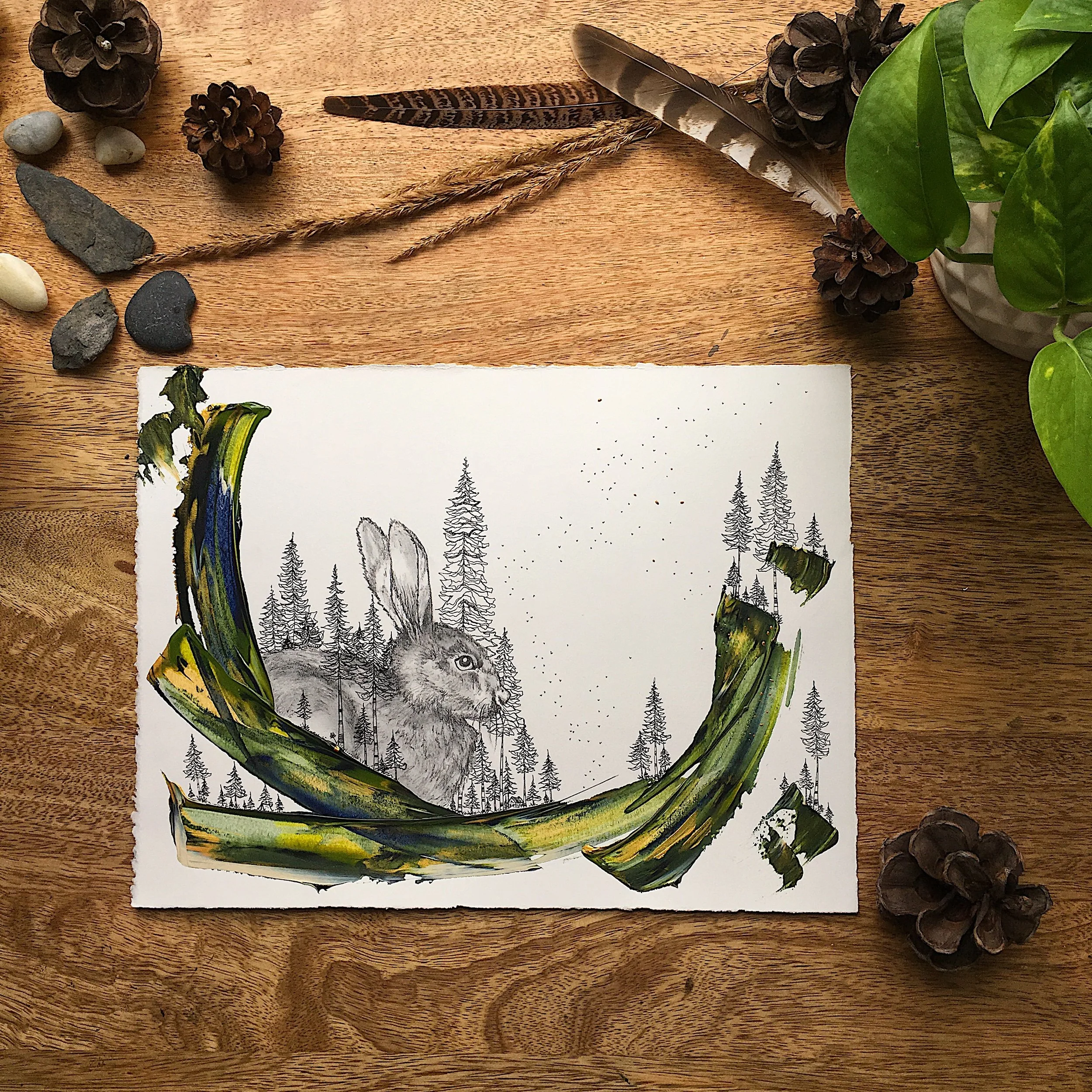 E. Medium Animalia Daydream