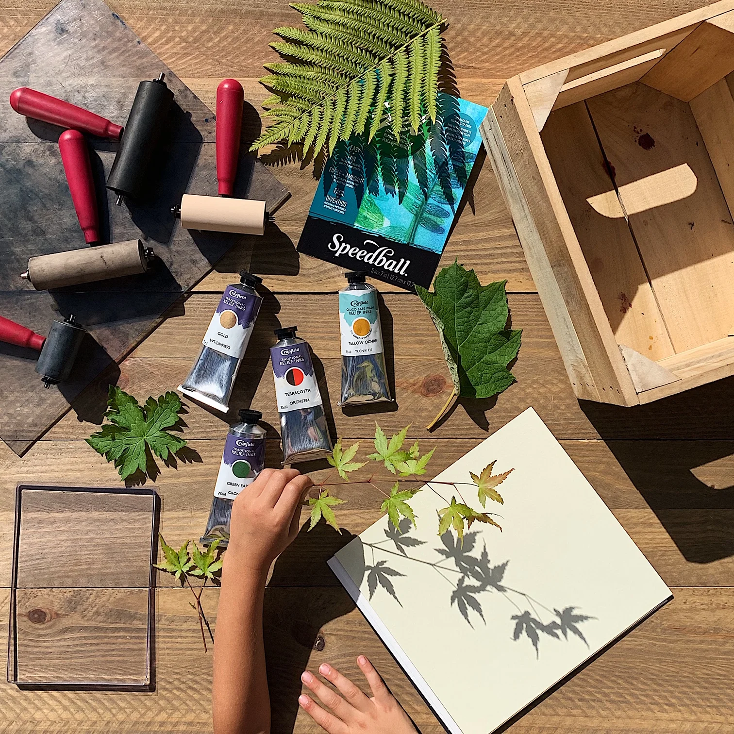 Printmaking with Kids: Monoprinting with Nature and a Gel Block