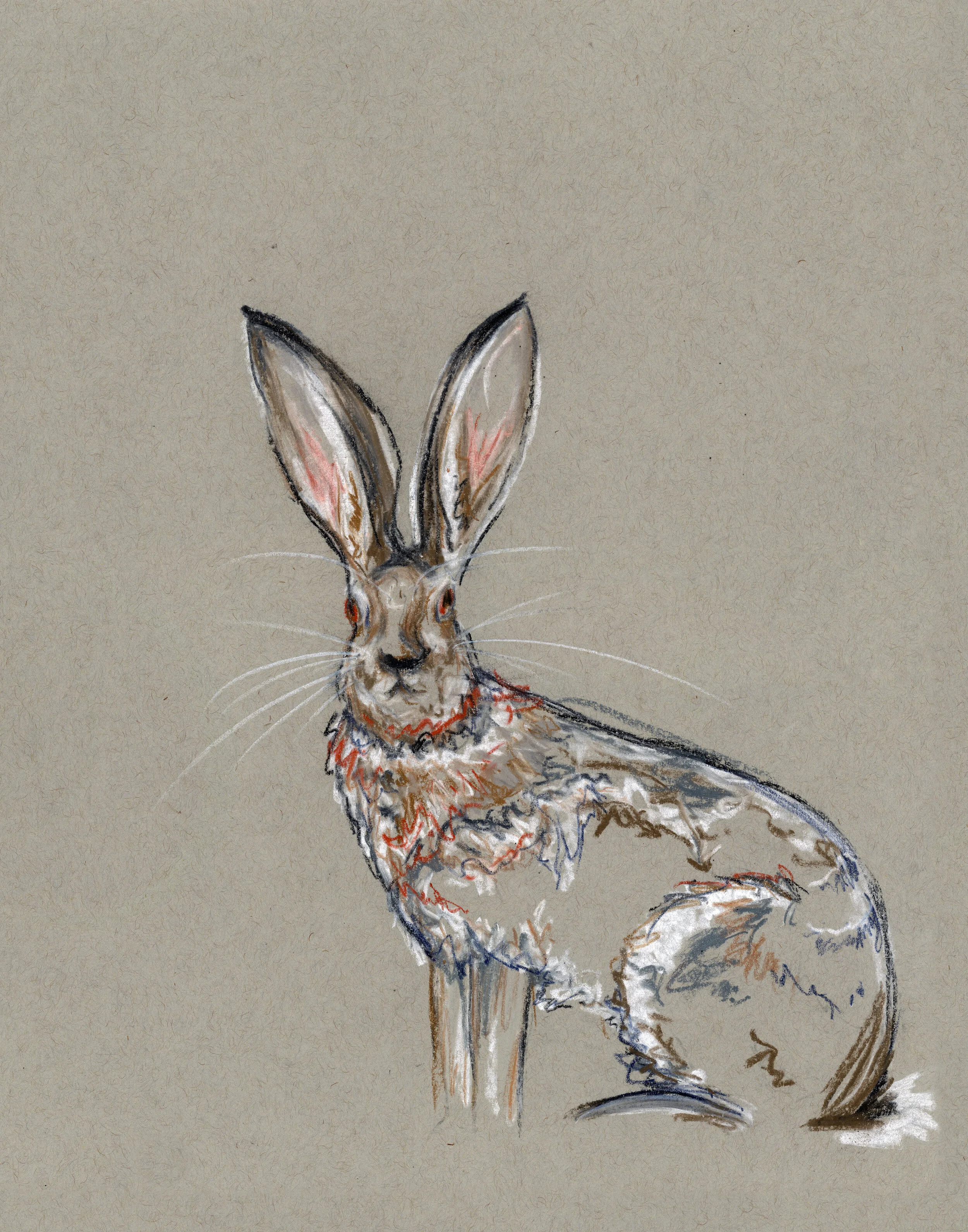 Out of the Bramble Study 2