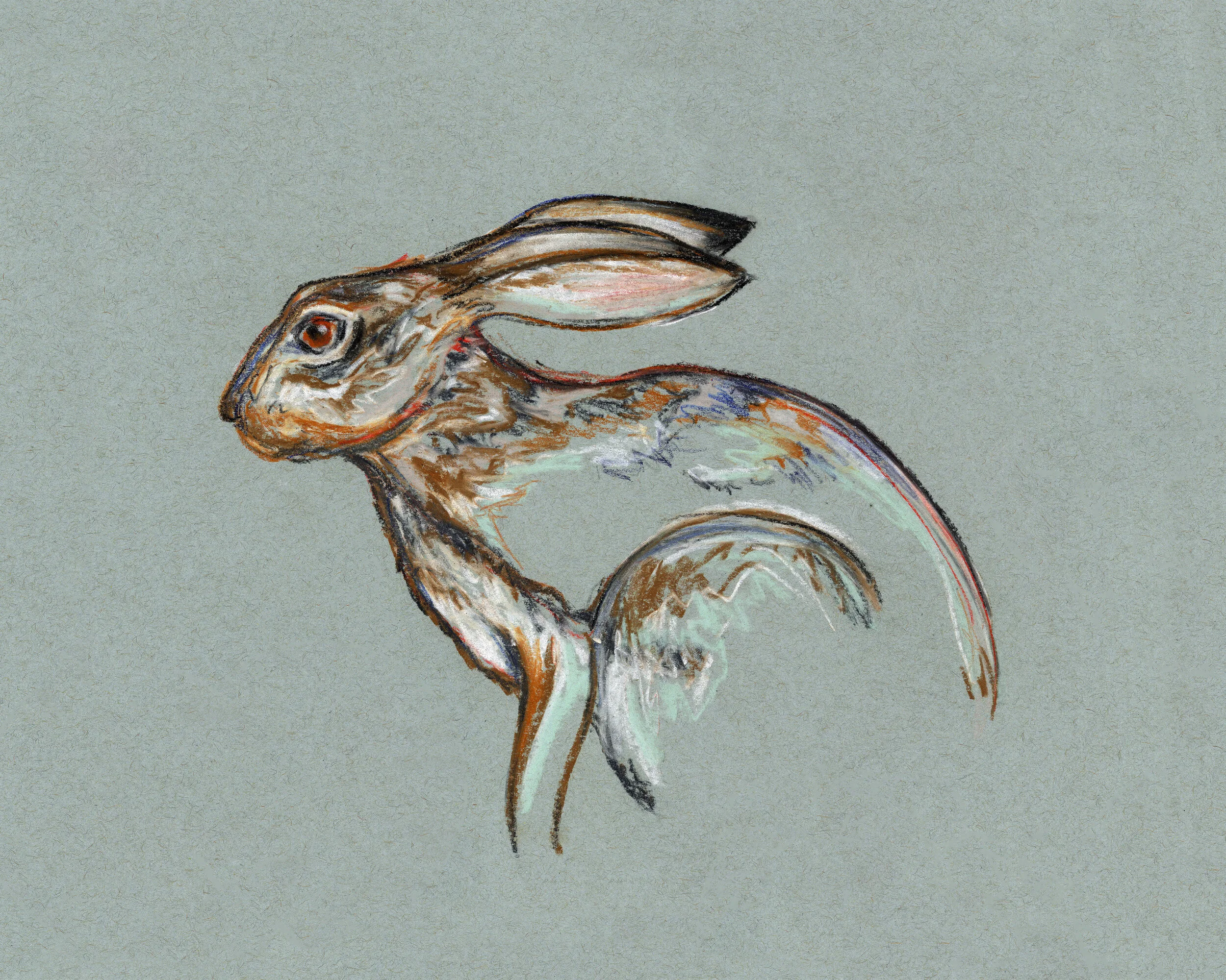 Out of the Bramble Study 3