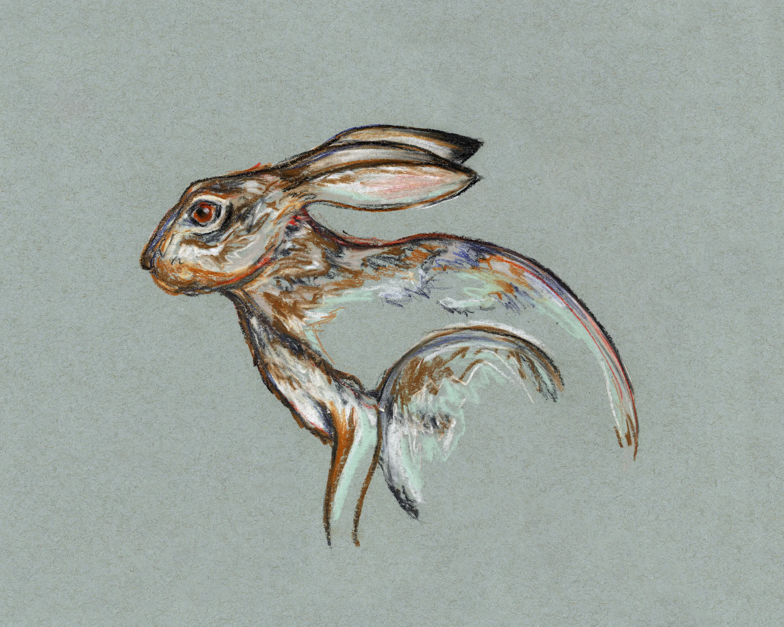 Bunny study 3 alternate.jpg