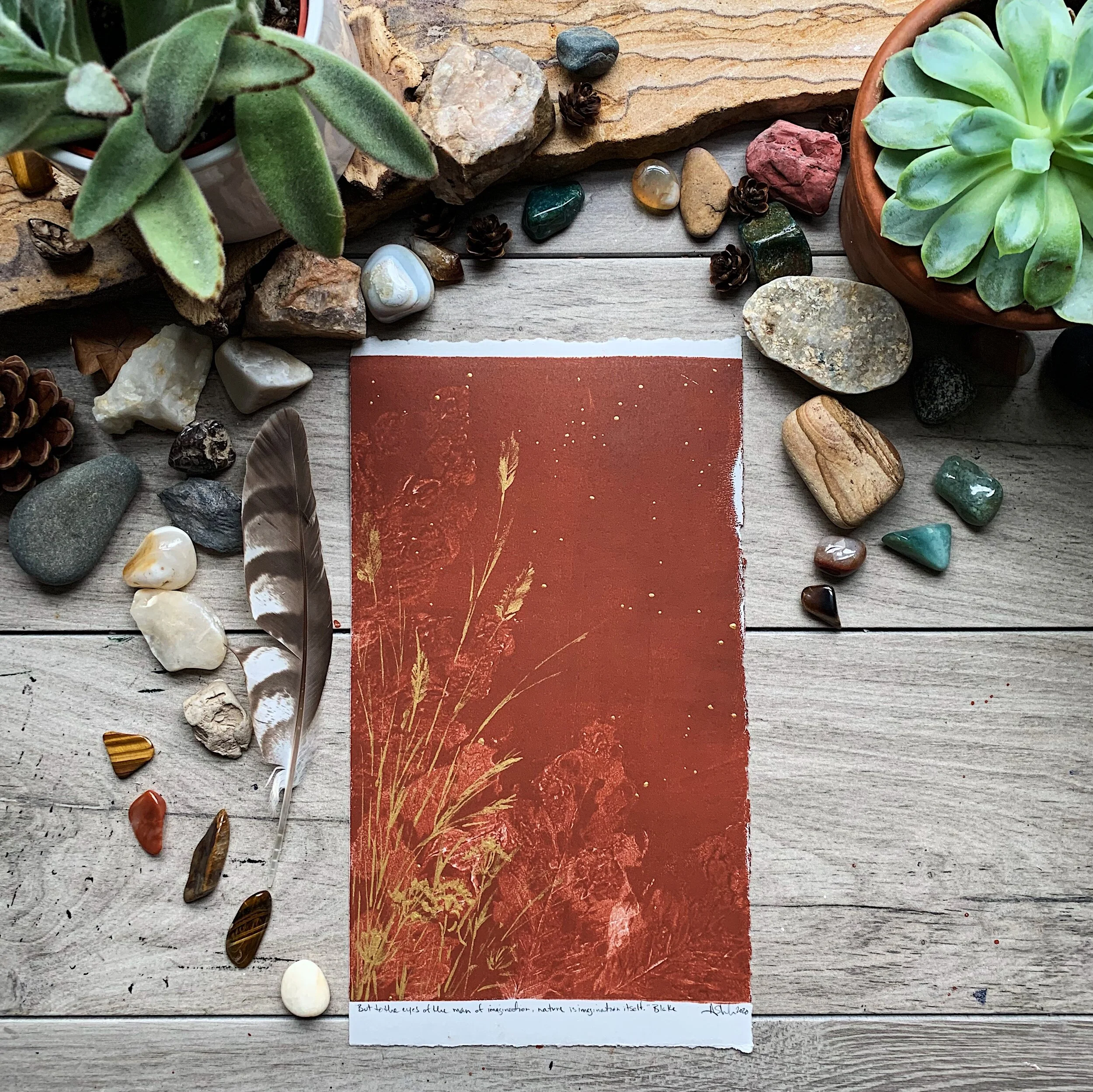 Nature is Imagination Itself