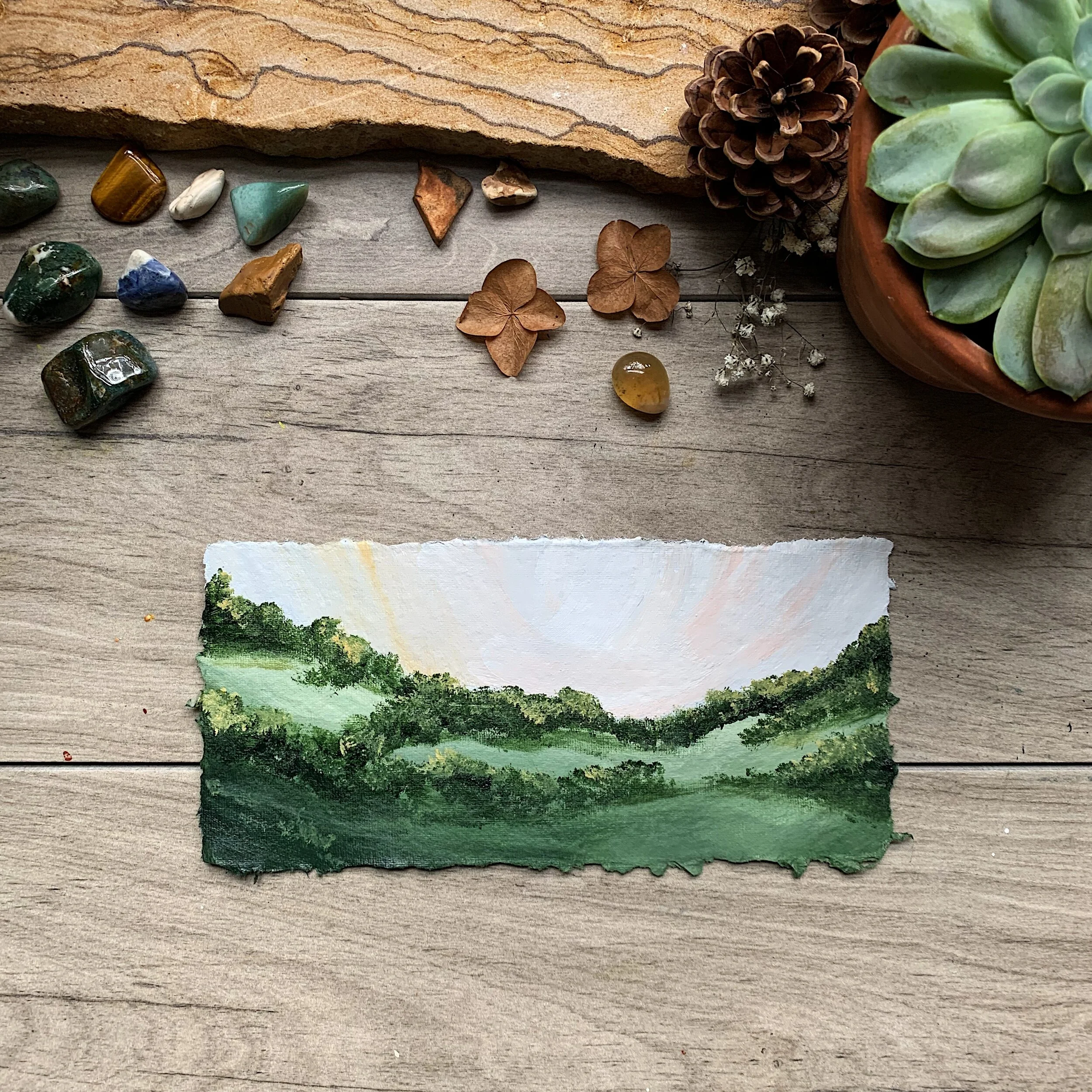 The Rabbits Gathered Here