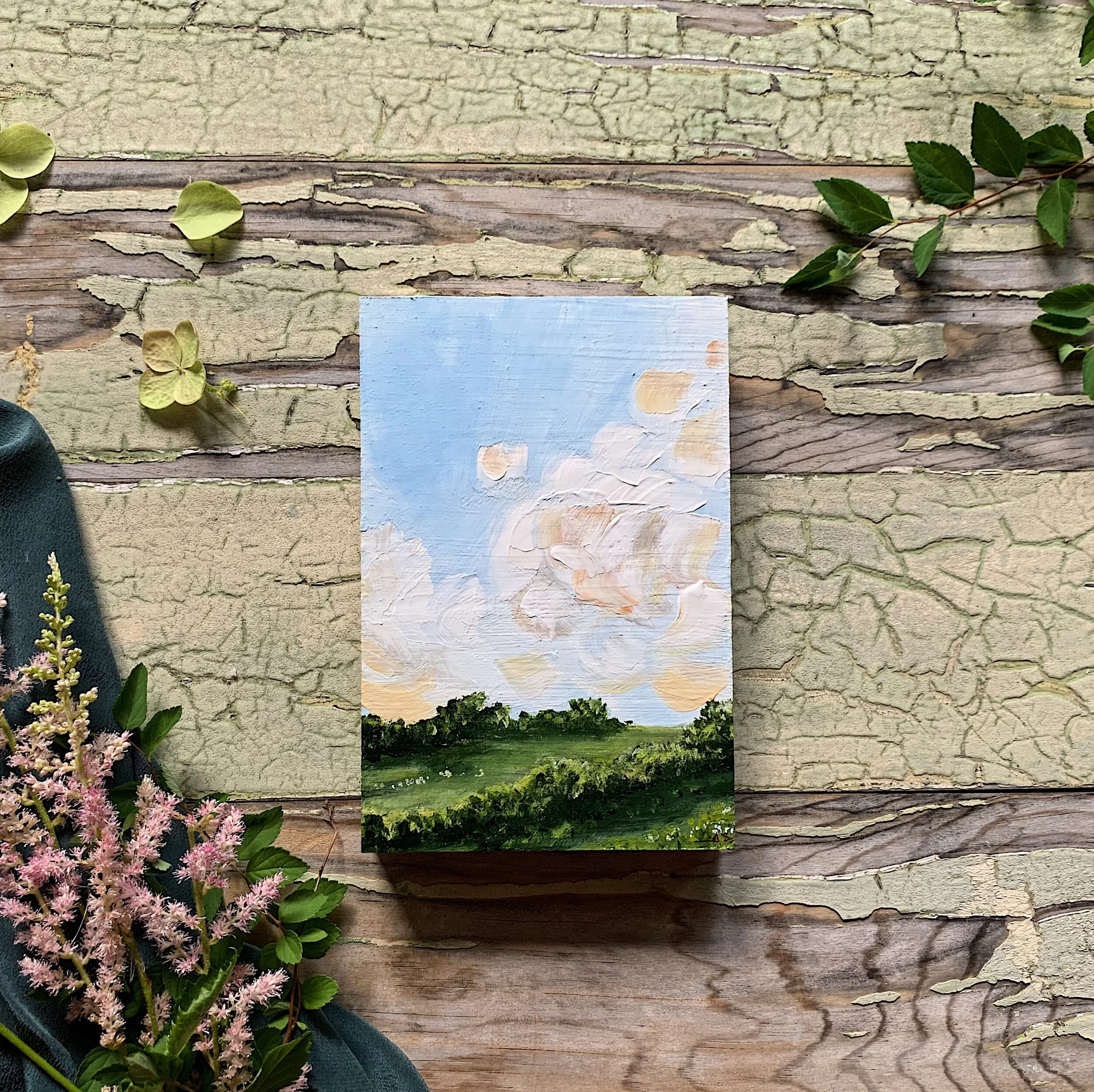 Petals in the Sky, 4"x6", $130