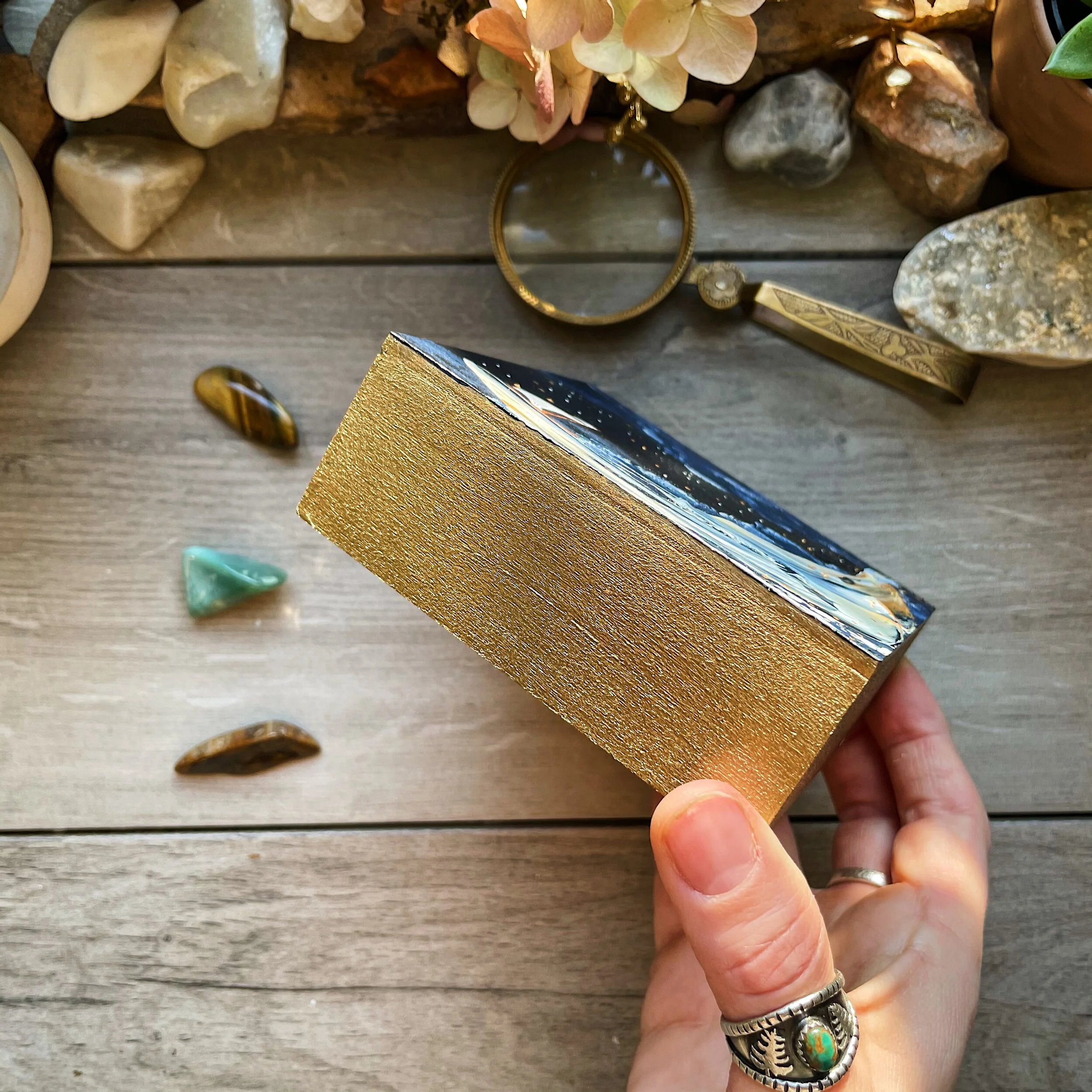 390F20A7-3A0E-45ED-A866-20CA5847DCC2 2.JPG