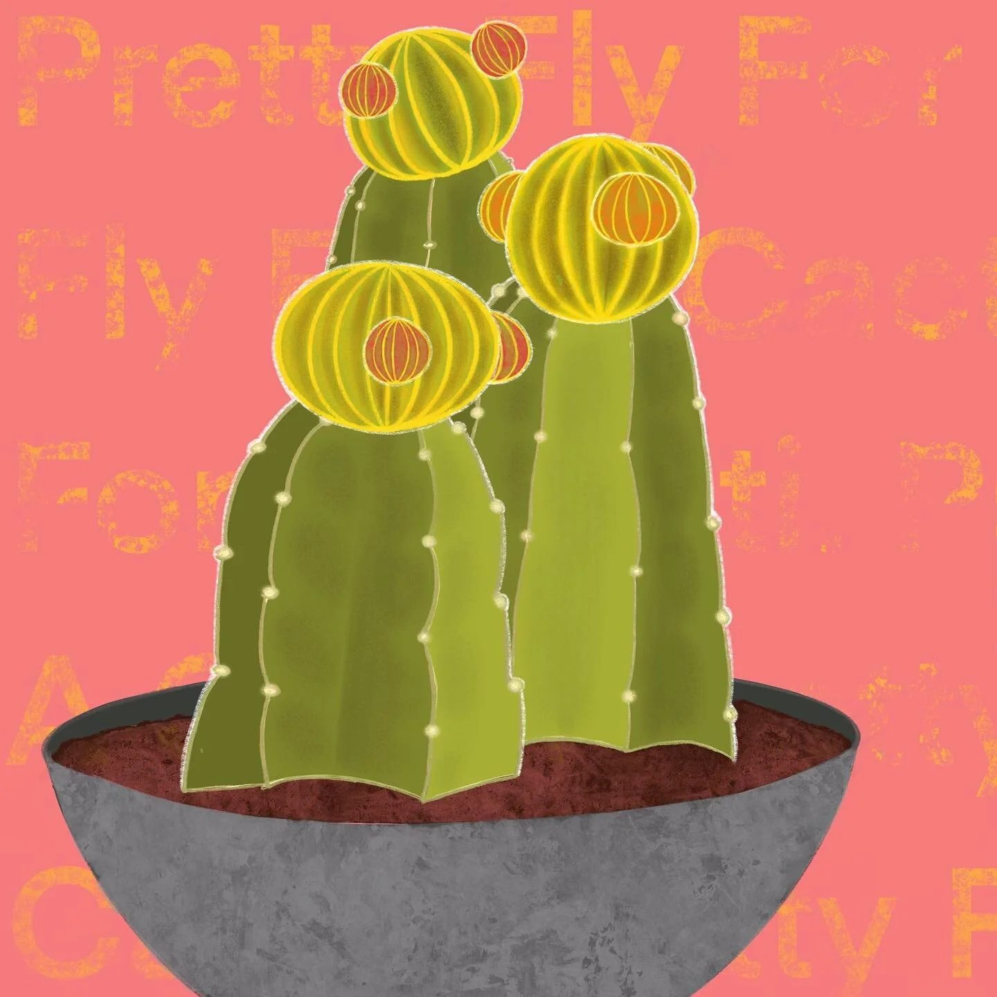 Pretty Fly for a Cacti
.
 While on my summer surveil of garden shops, i&rsquo;ve come across this very cool grafted cactus called the moon cactus. Reminds me of the big gorgeous peachy full moon that happened last night, and all the little moon babie