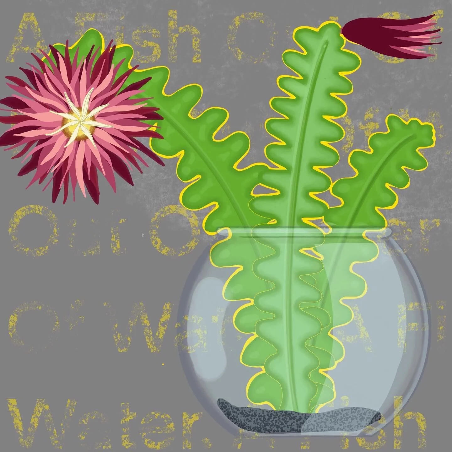 A Fish Out Of Water
.
This Fishbone Cactus and it&rsquo;s blooms may not fit in with the aquatic crowd, but it makes living outside of it&rsquo;s comfort bowl look easy. 
. 
.
.
#fishbonecactus #succulent #art #succulentseries #cactusflower #allcacti
