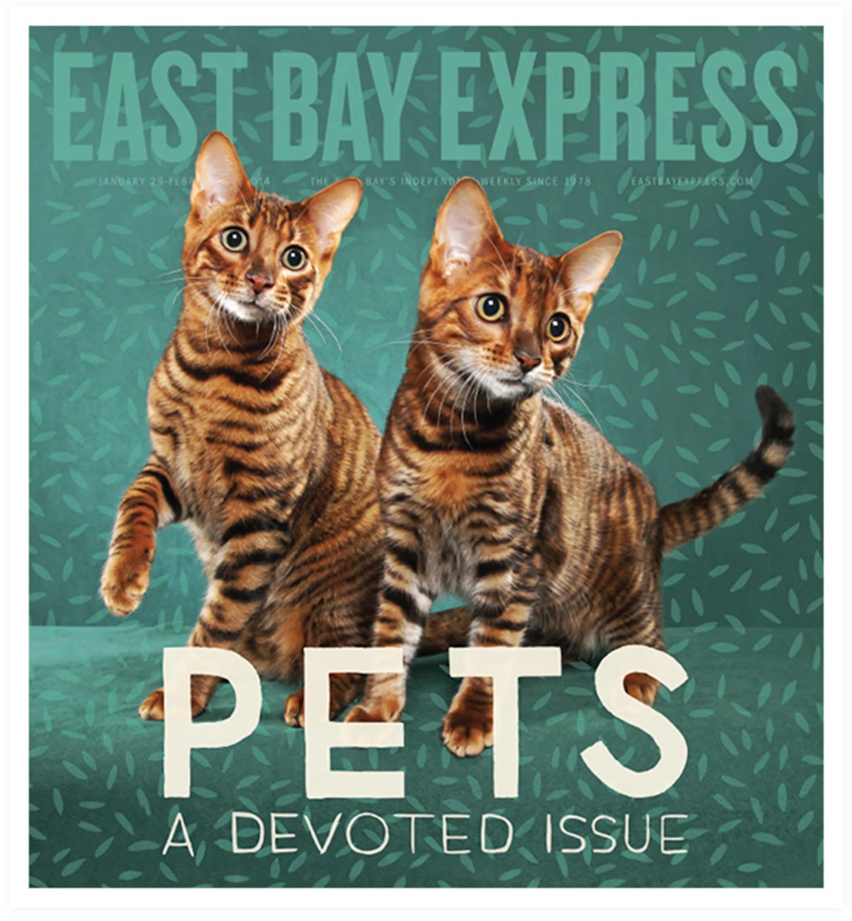 ebxcats-thumb.jpg