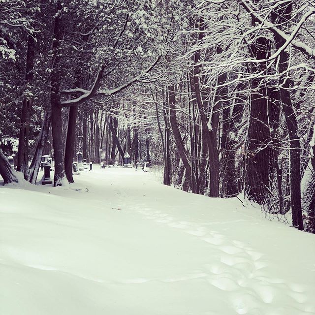 First snow!  Perfect for ➡️➡️
Our #christmascrunchchallenge is about moving our bodies this week! 
Stress is released when we move, warmth is produced and we burn fat=Thermogenesis.

When we regulate our body heat staying inside and moving  from home