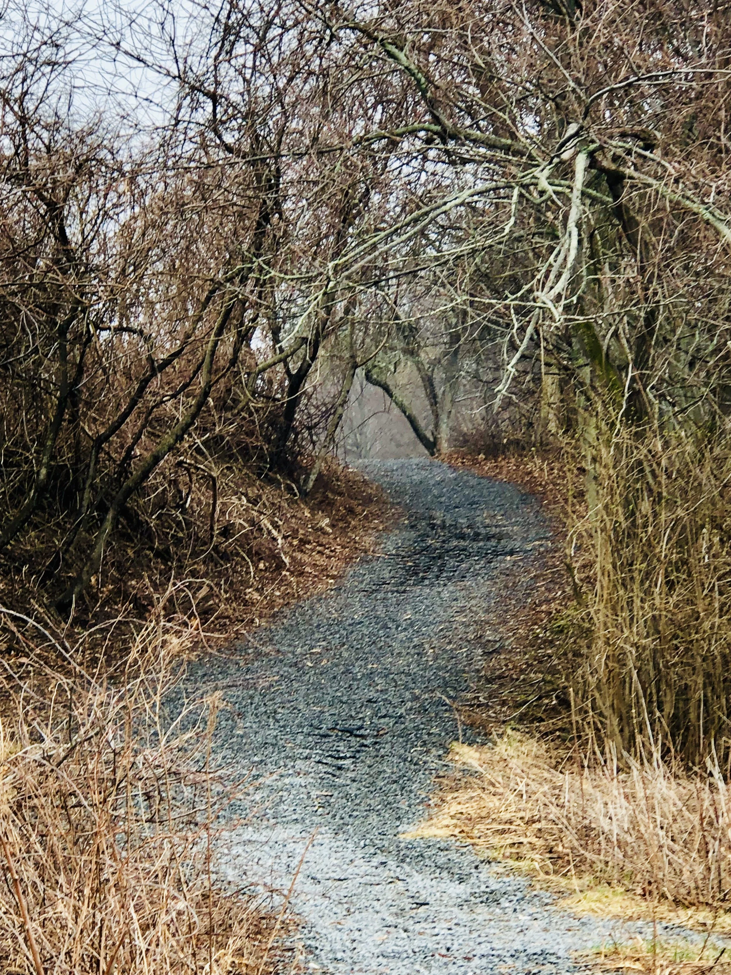 Blaze your own Path or The Road  already Taken?