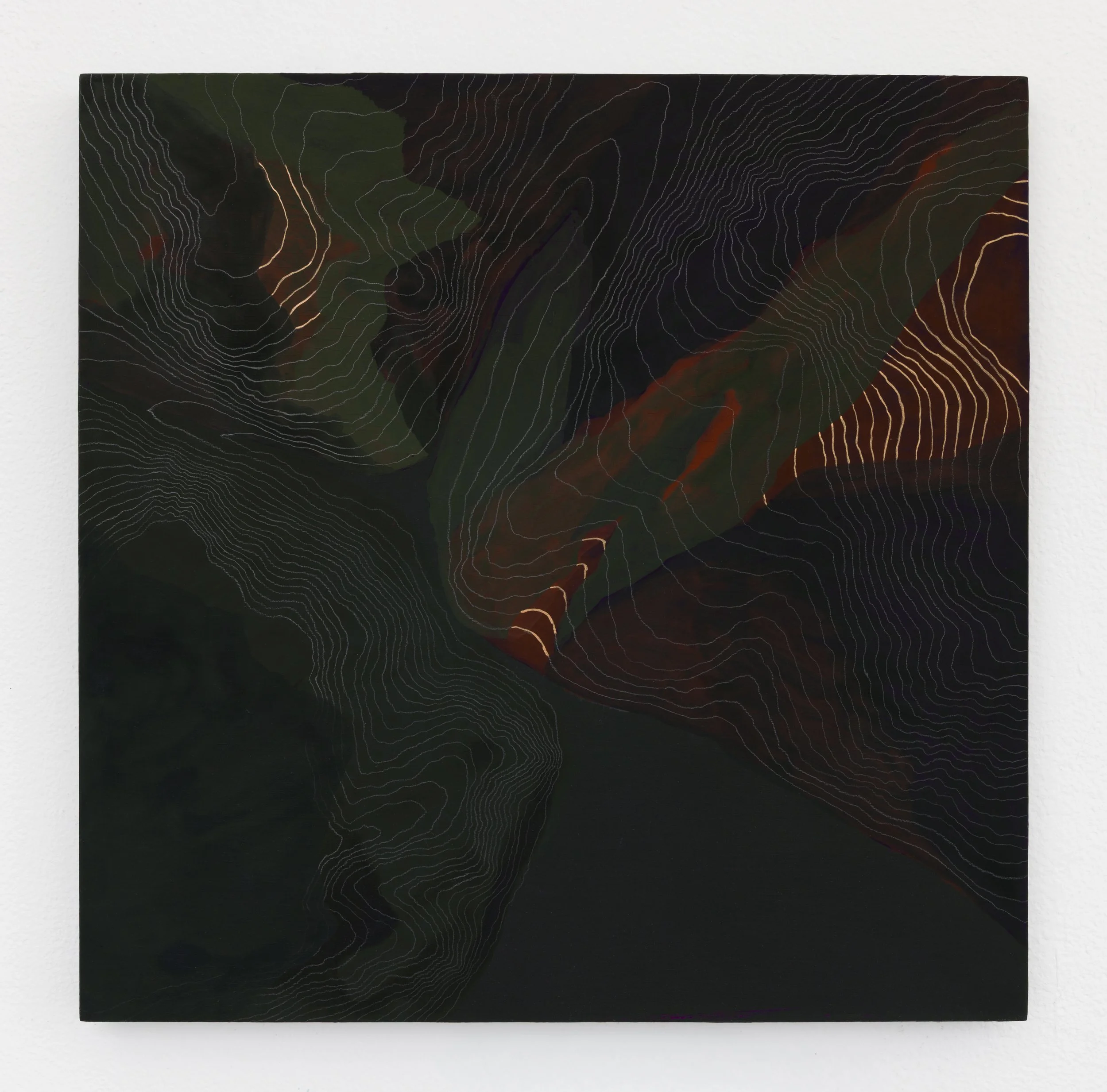   Bukdo 4  12x12 in Flashe, acrylic paint and graphite on panel 2026  Photo credit: Andrew Schwartz 