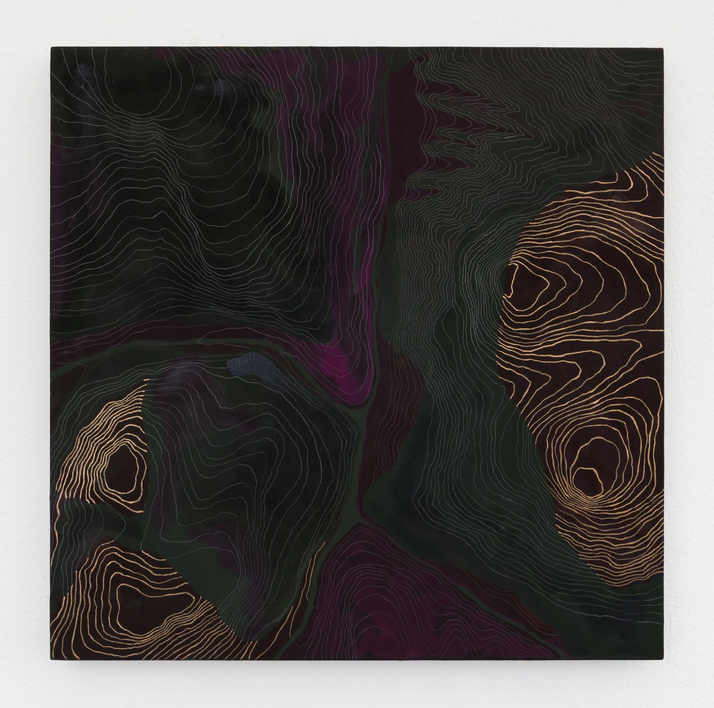   Bukdo 3  12x12 in Flashe, acrylic paint and graphite on panel 2026  Photo credit: Andrew Schwartz 