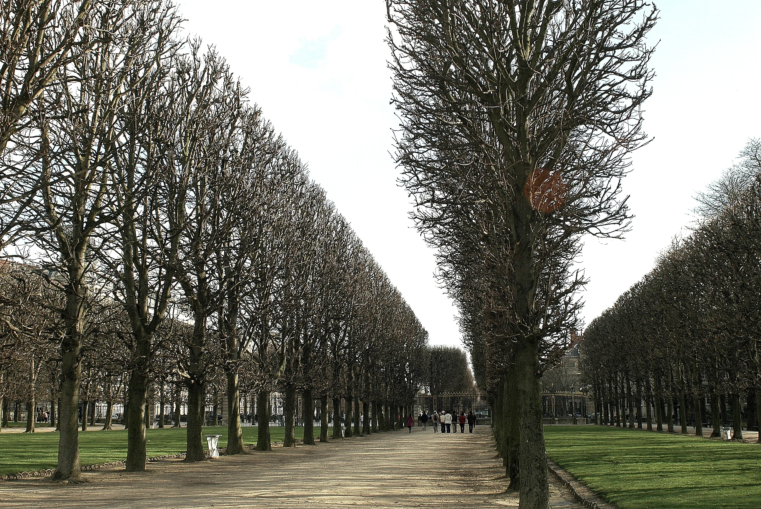 Copy (7) of DSC_0091.JPG