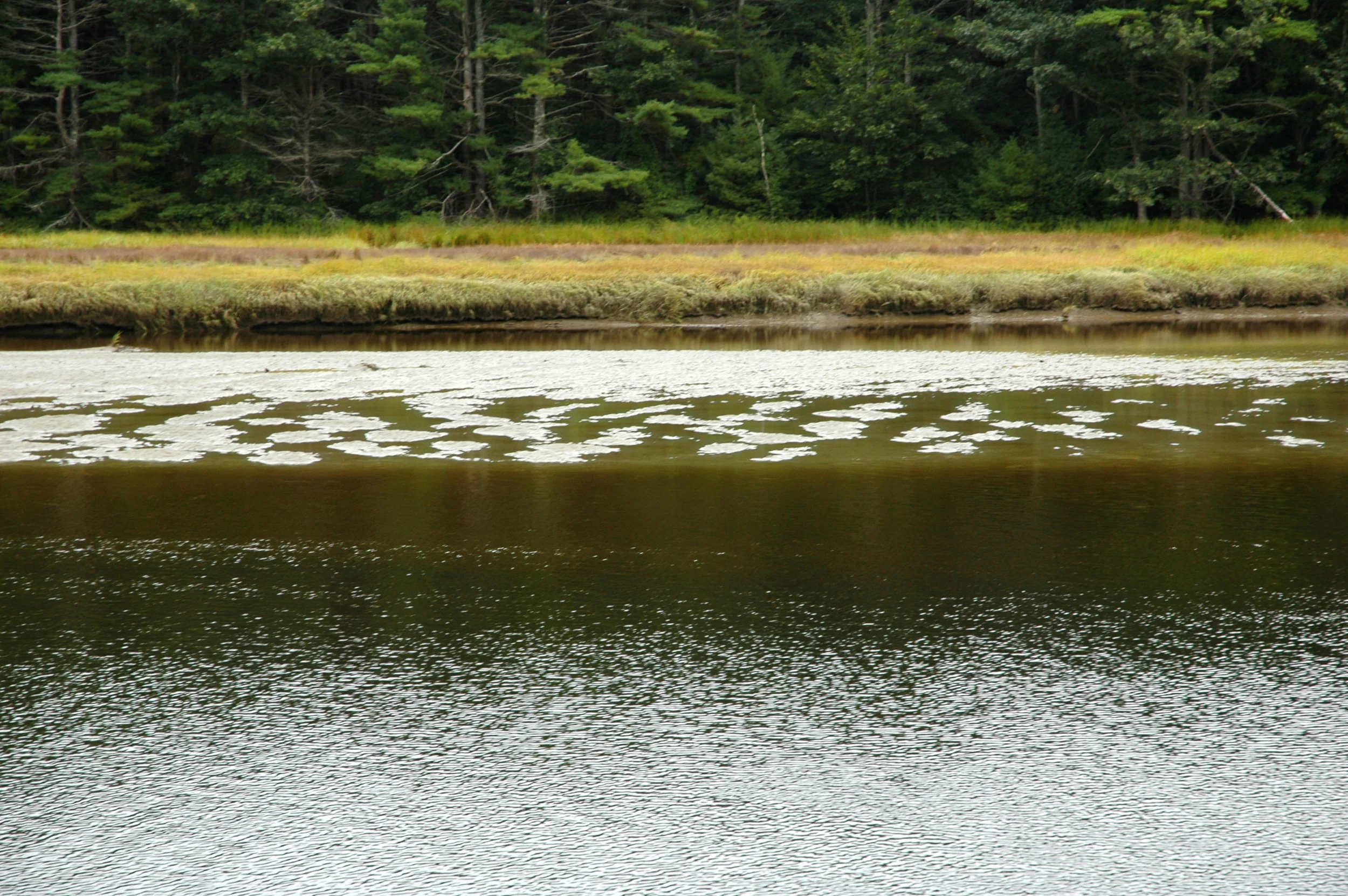 Sheepscot Sept.jpg