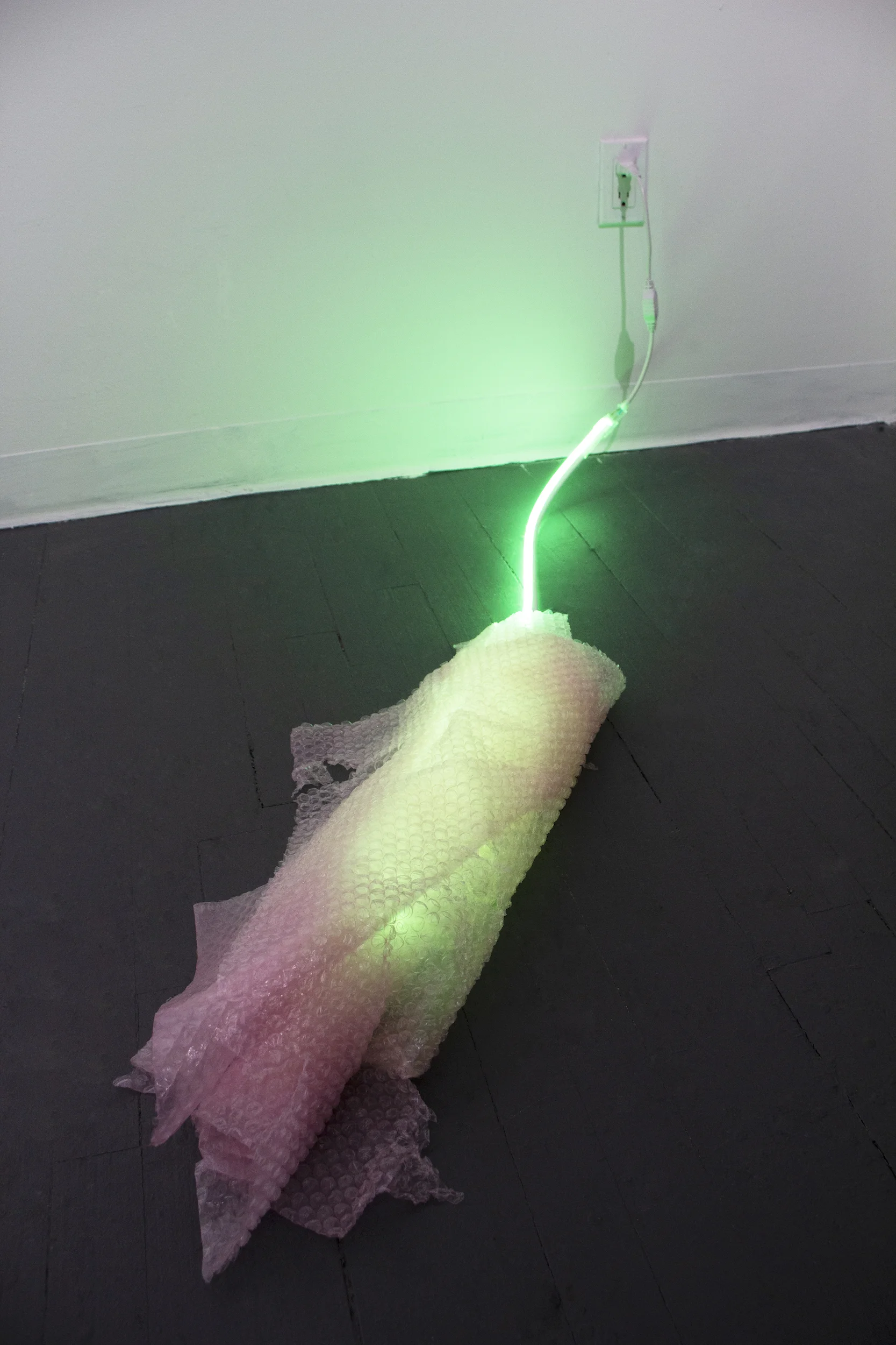 Skin and bone Used bubble wrap, and LED light tube Approx. 62 x 12 x 5 inches 2018