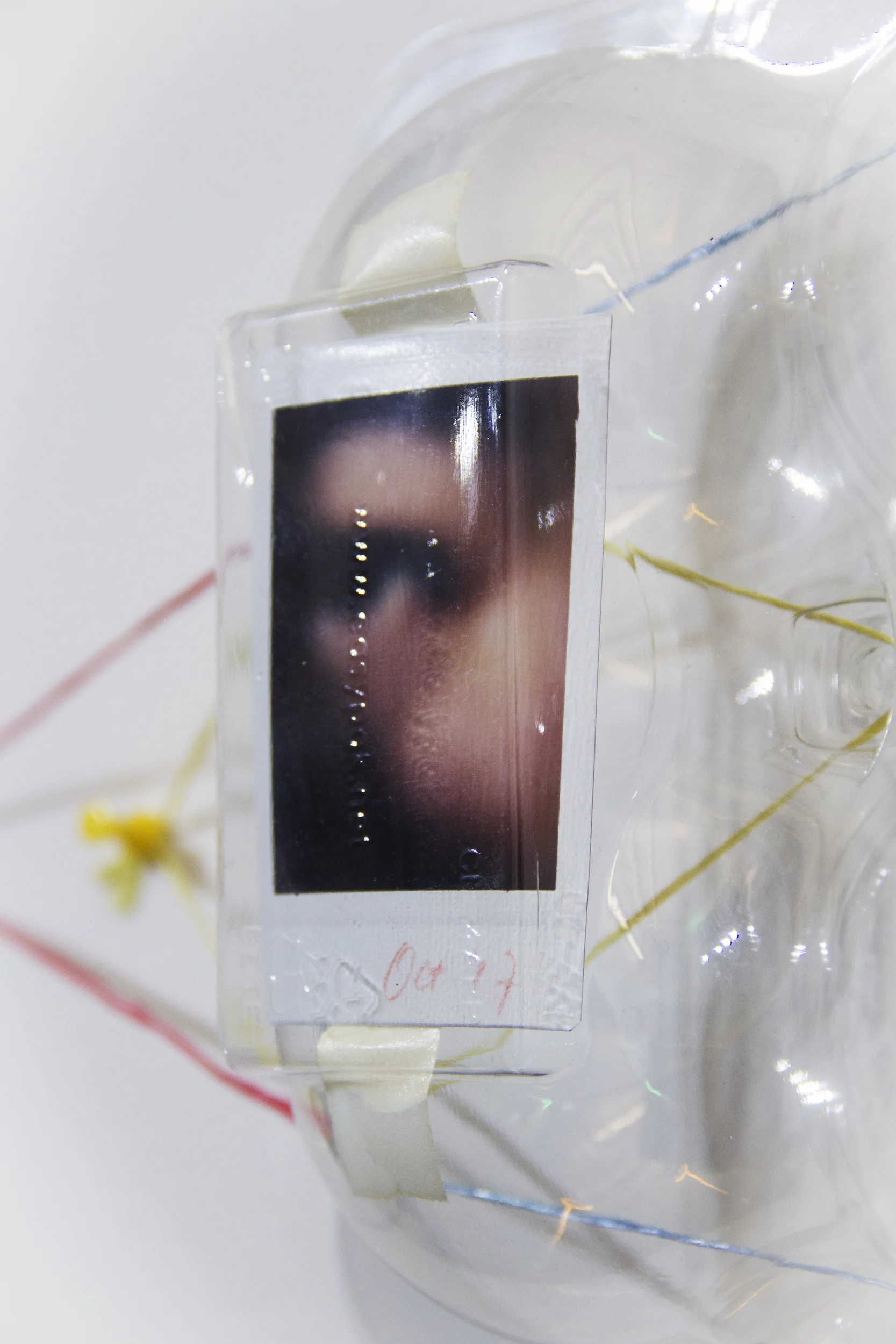 The time bender (detail) Used fruit packaging, Instax photo, artist tape, raffia string, and pin 19 1/2 x 7 1/2 x 3 6/8 inches 2018