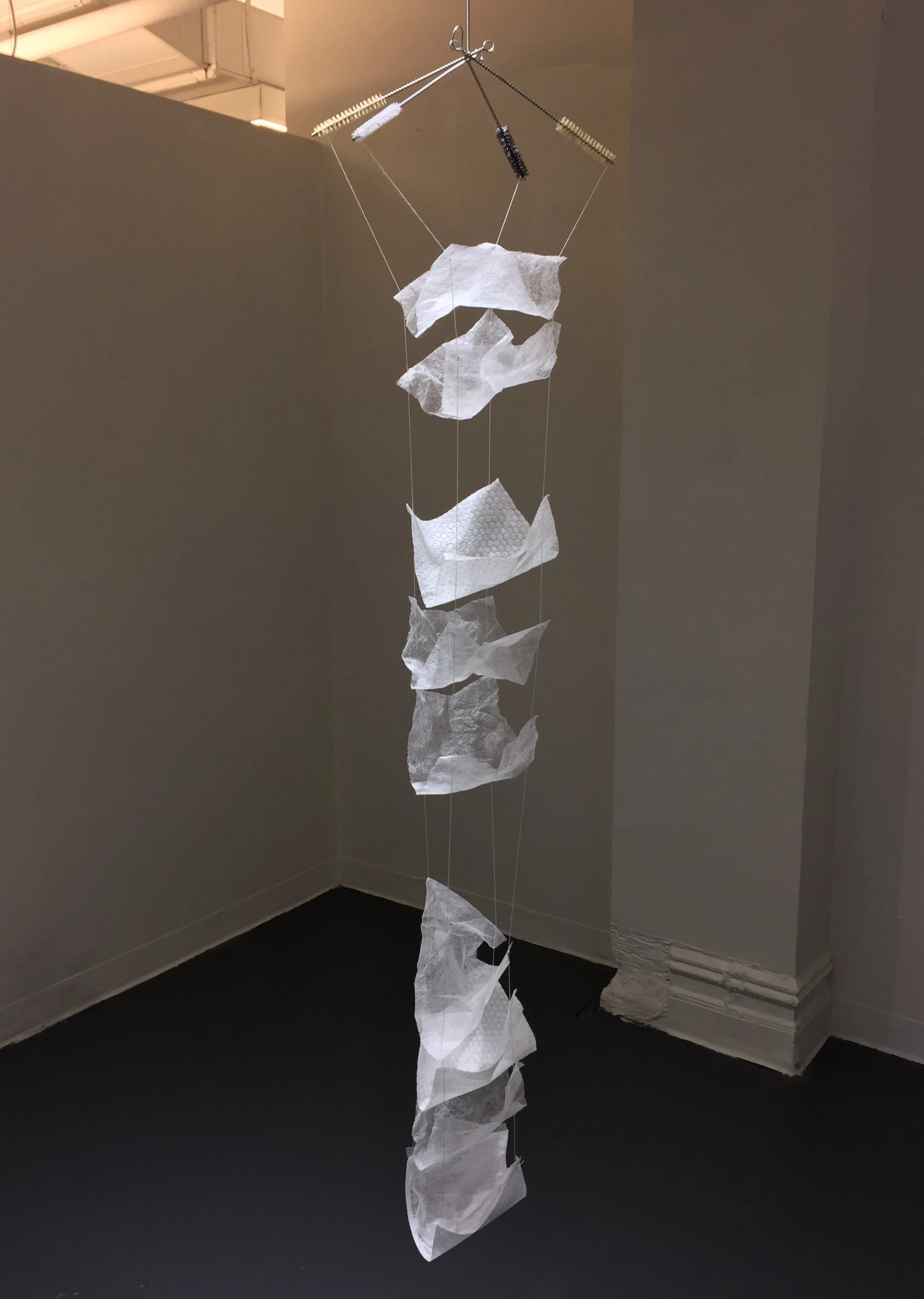 Afternoon lullaby 1.JPG