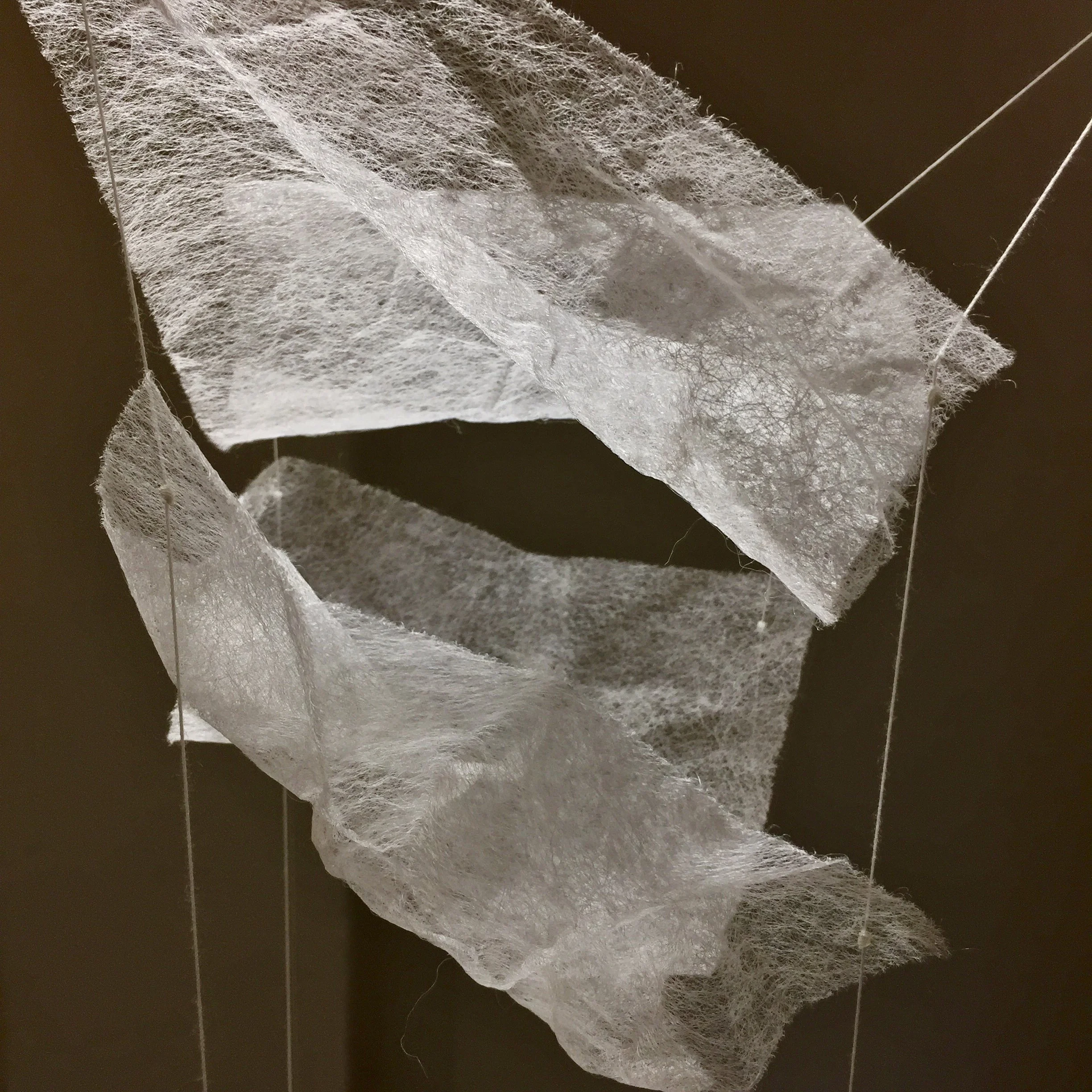 Afternoon lullaby 5.JPG