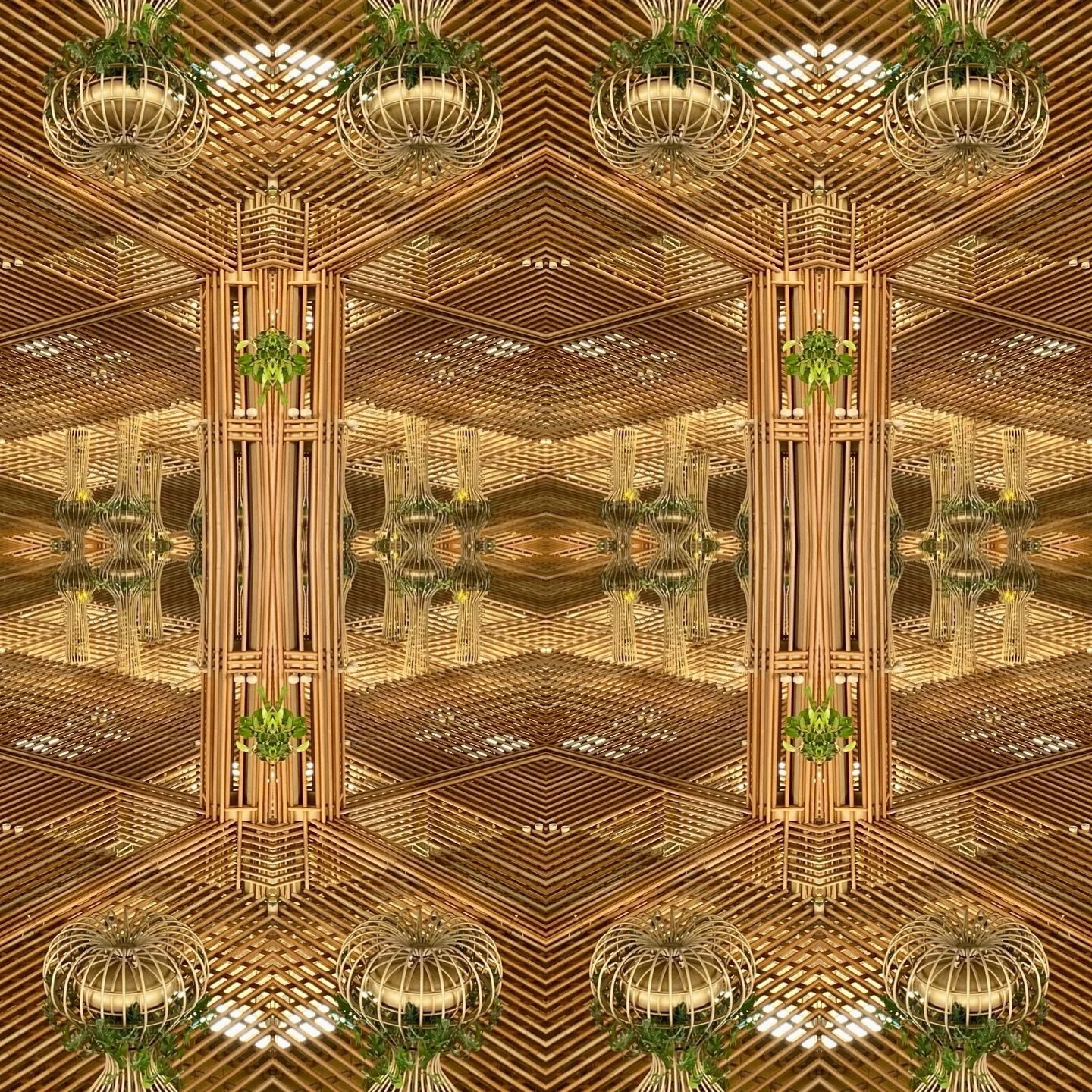 #bengaluru #india #urbanjungle 
.
.
.
#work #travel #bangalore #airport #architecture #design #photography