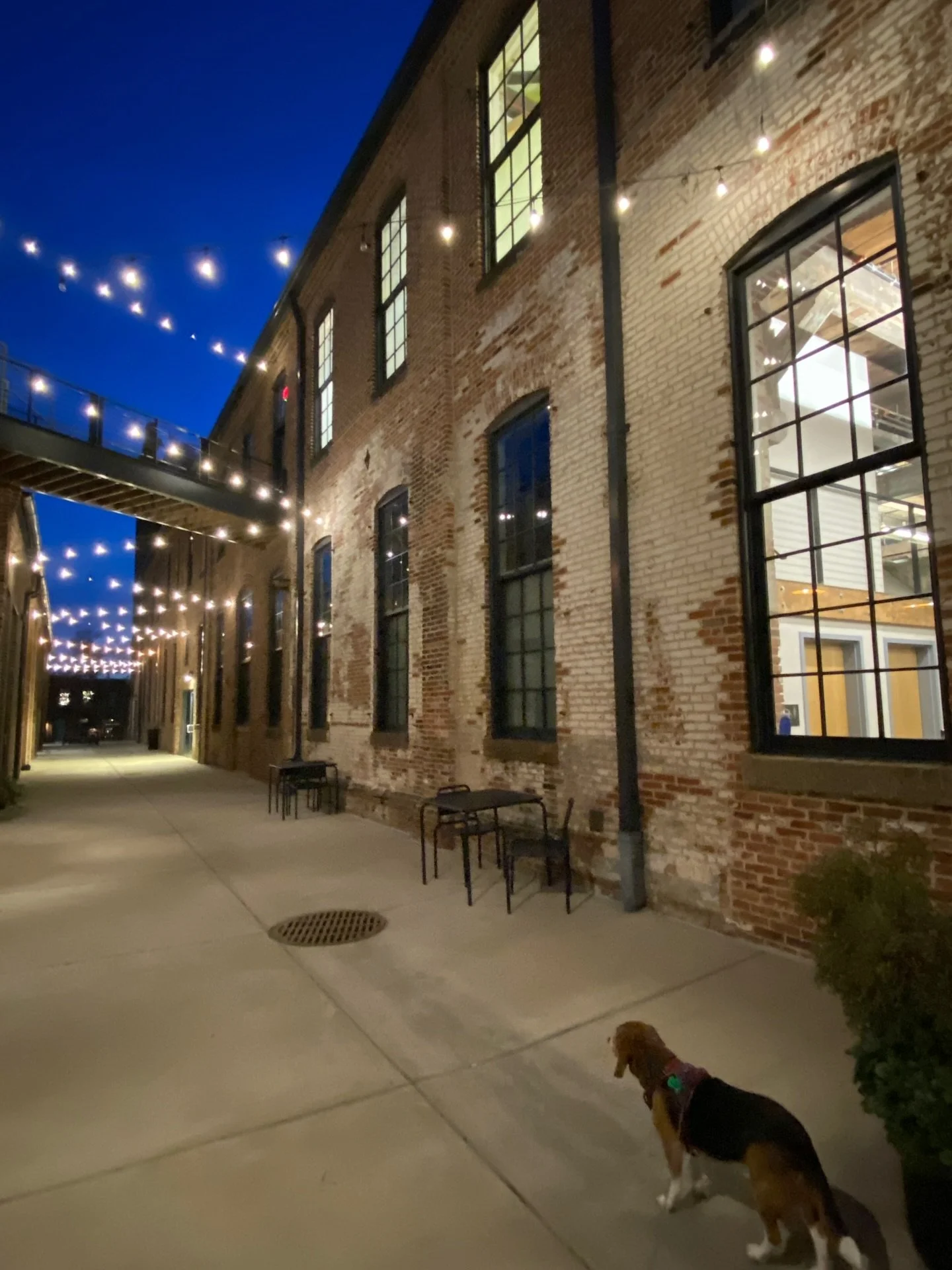 Wishing you and yours magic in your days and hearts this season and new year&mdash;Happy Holidays! 🌟🌈🙌🏼💗🎄

#happyholidays #2025 #close #open #happynewyear