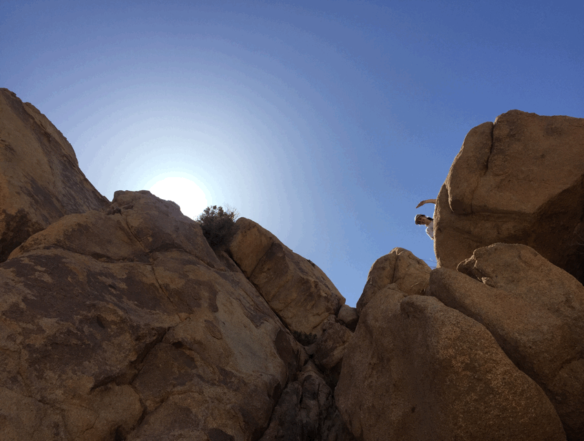 PUFC0209.gif