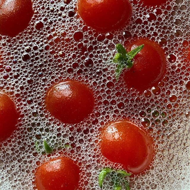 Splish splash, my veggies taking a bath 🍅