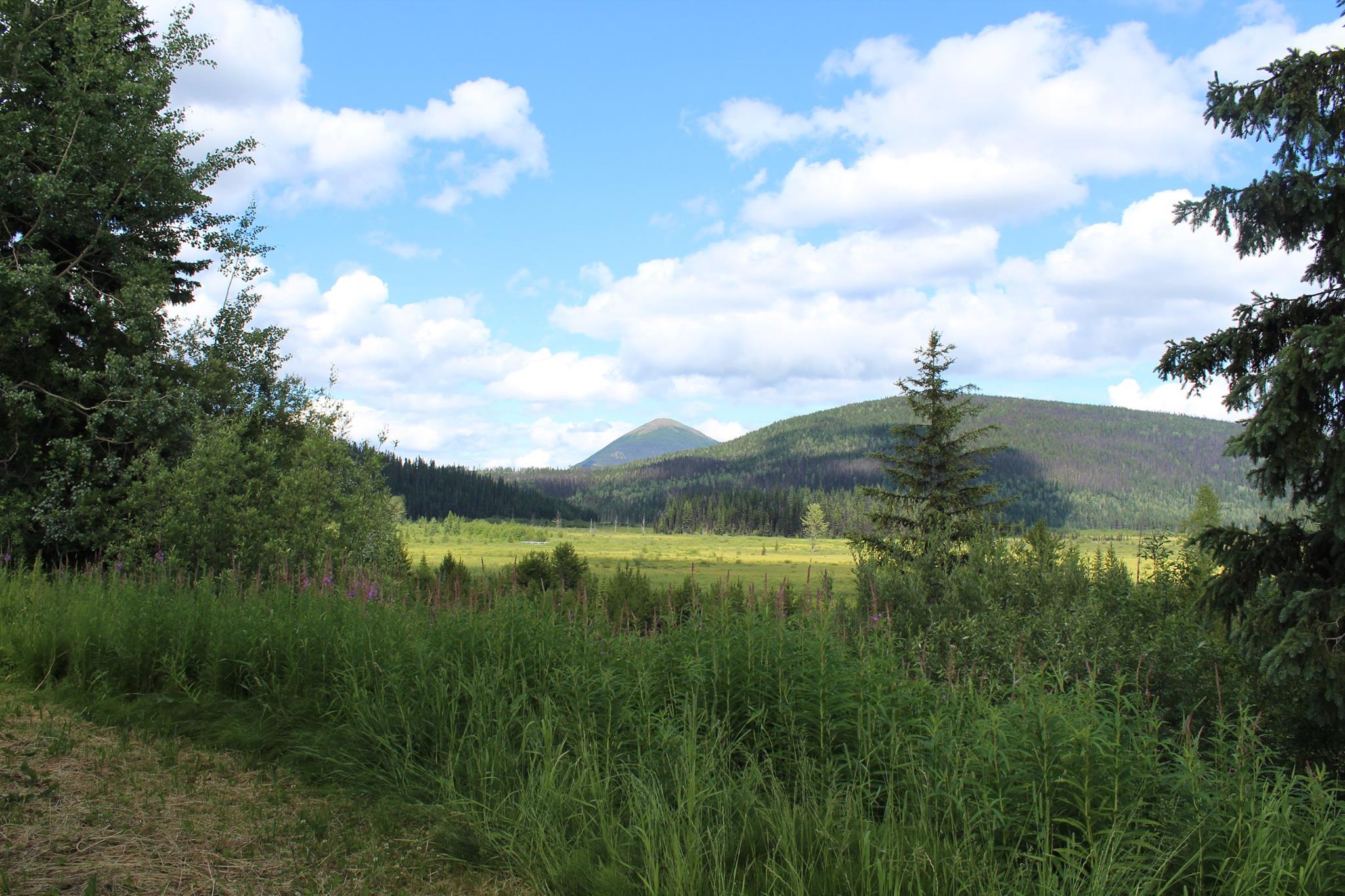 The classic view of Slide Mountain and the bog in Wells on July 17th, 2017