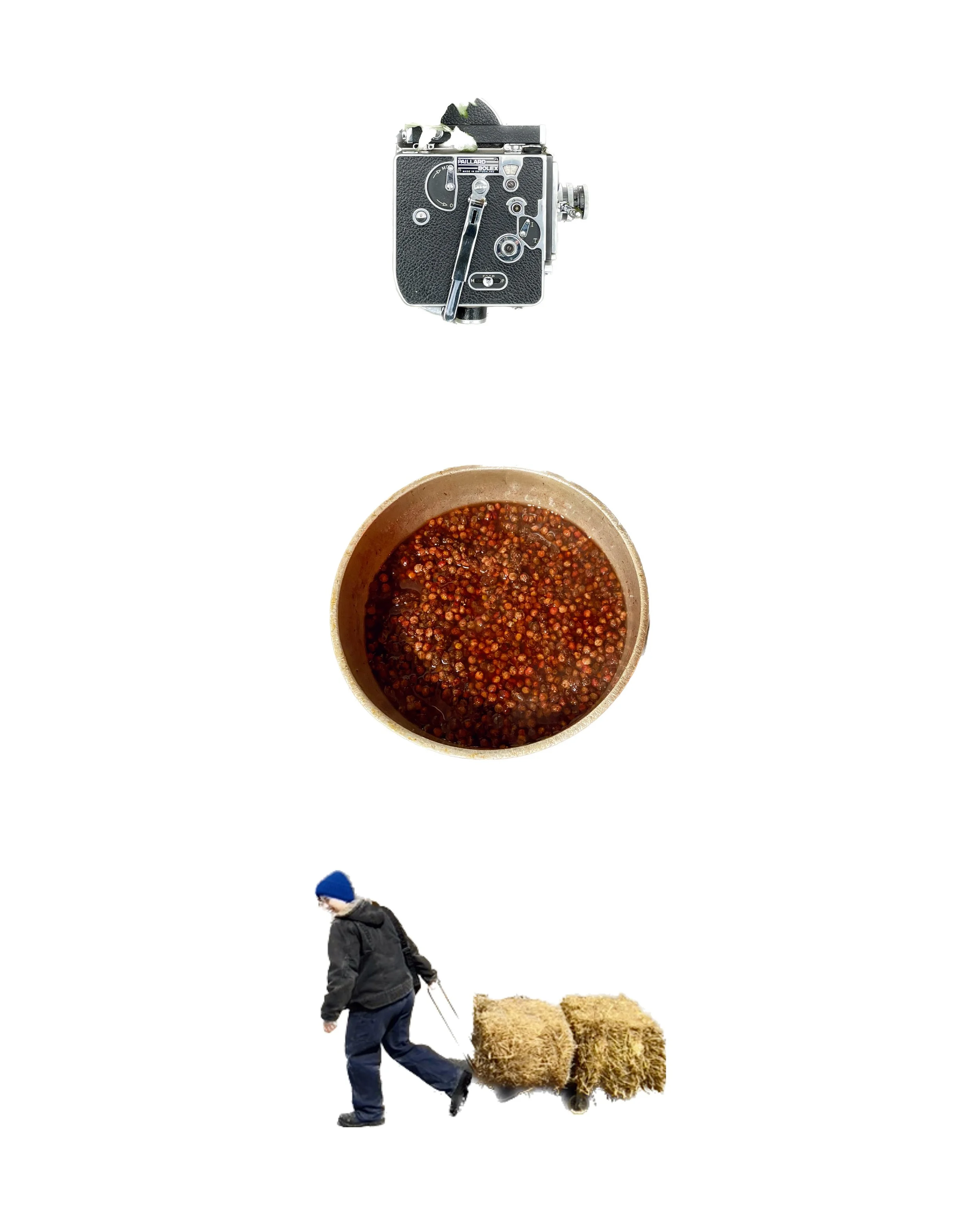 Gallery || MULCH MULCH MULCH || May 30th – June 30th, 2024