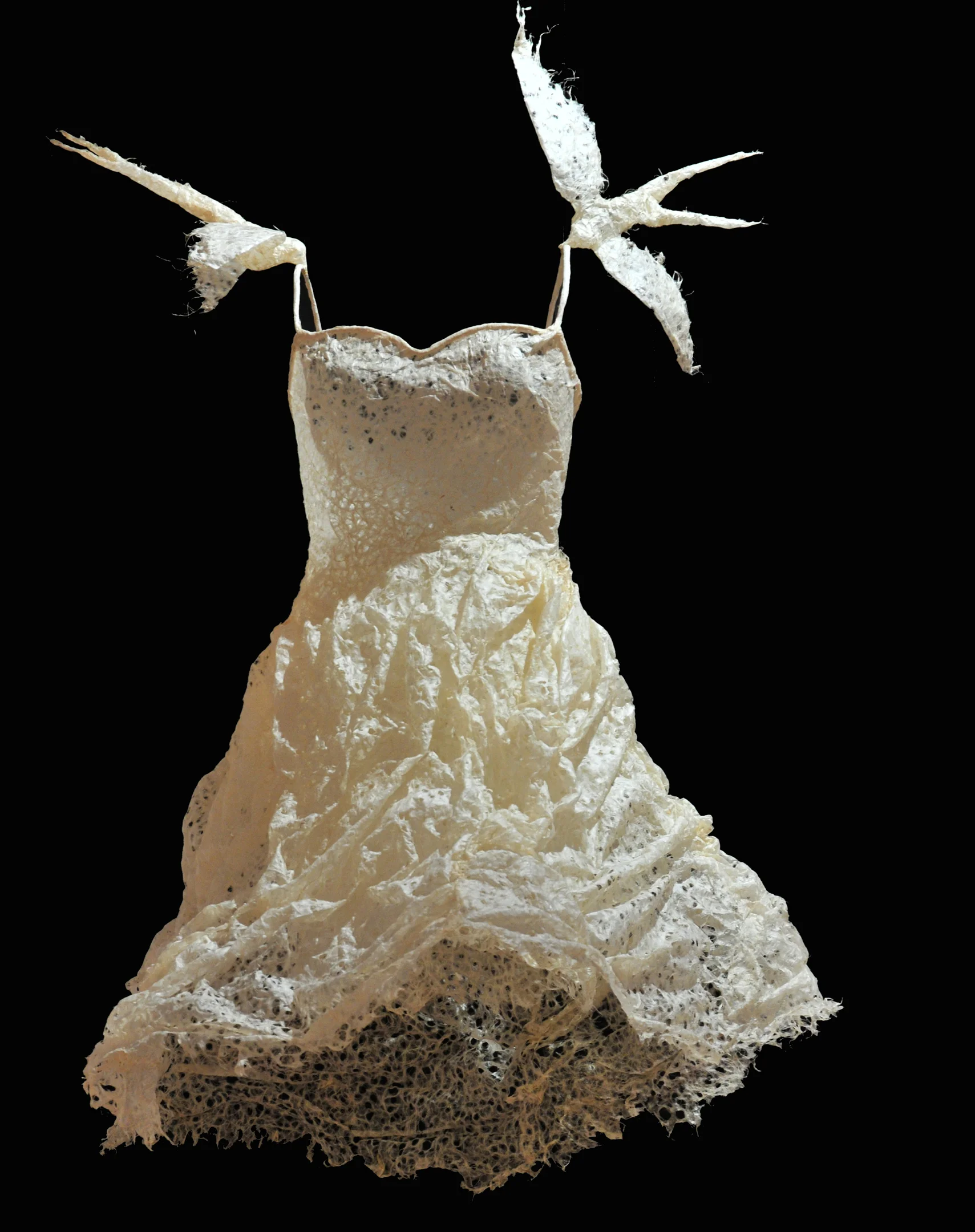 ChristinaGraf_Nest.jpg