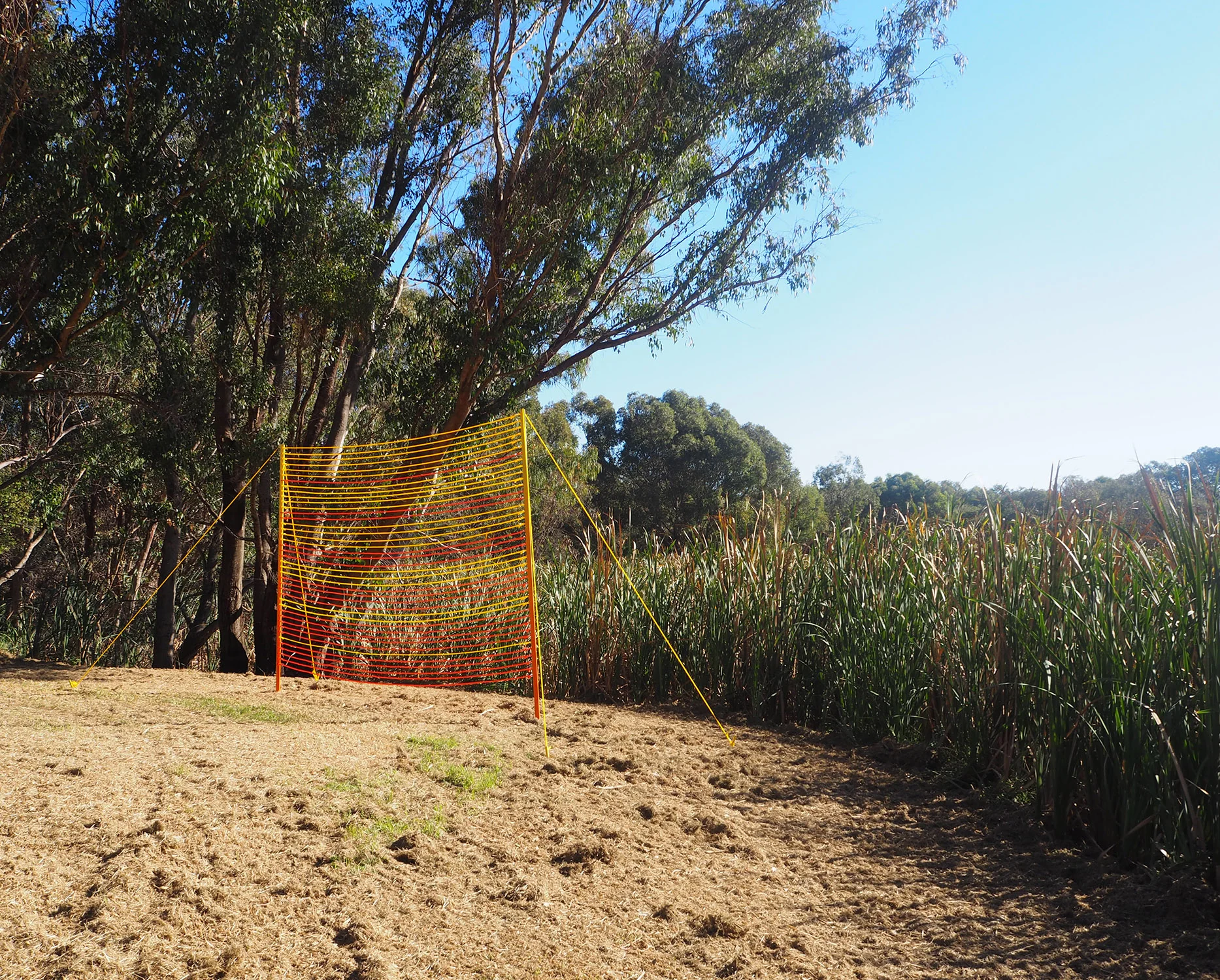 contemporary art, Australian artist, Perth artist, painting, futuristic, gradient, exhibition, disabled artist
