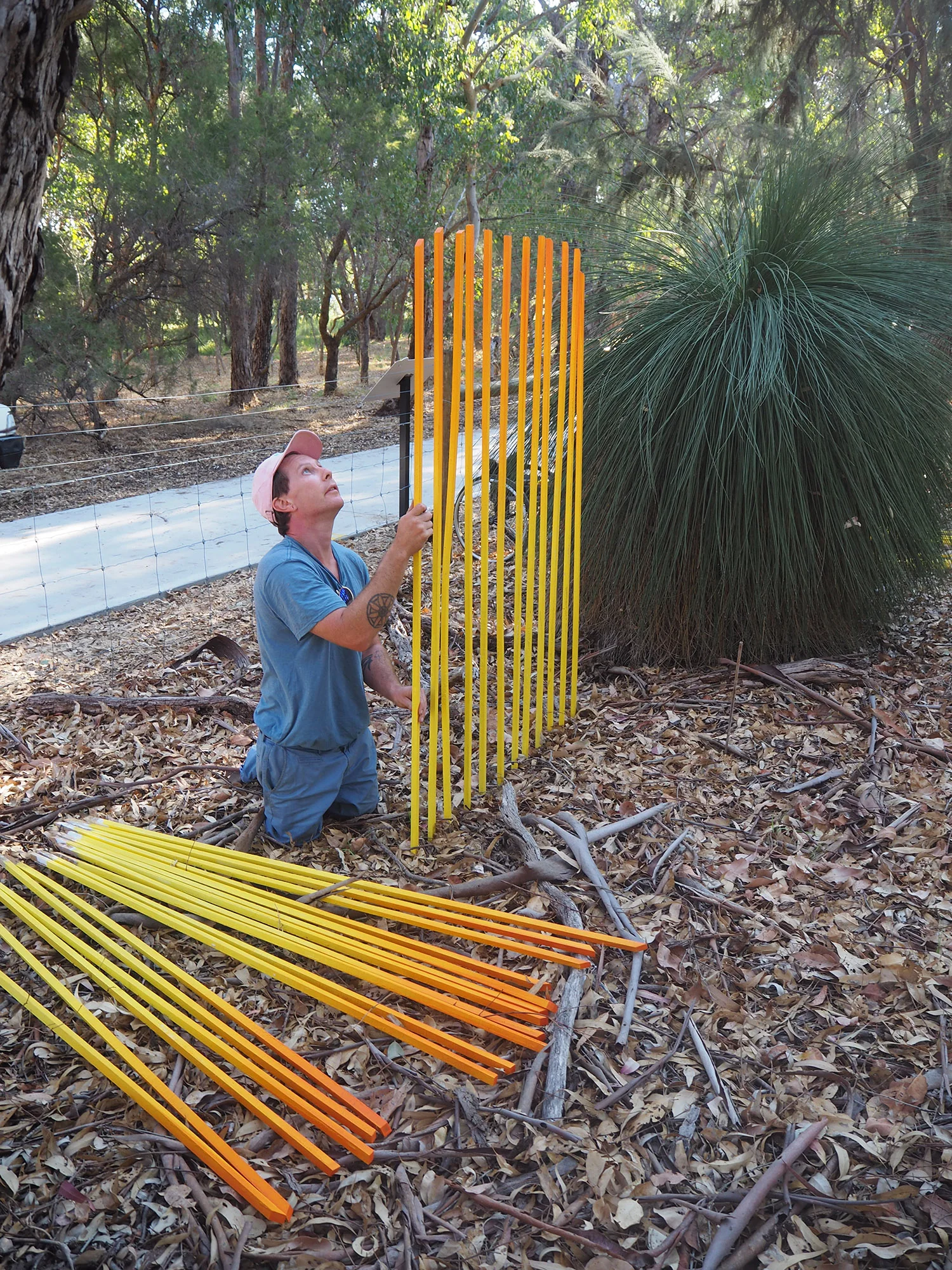 contemporary art, Australian artist, Perth artist, painting, futuristic, gradient, exhibition, disabled artist