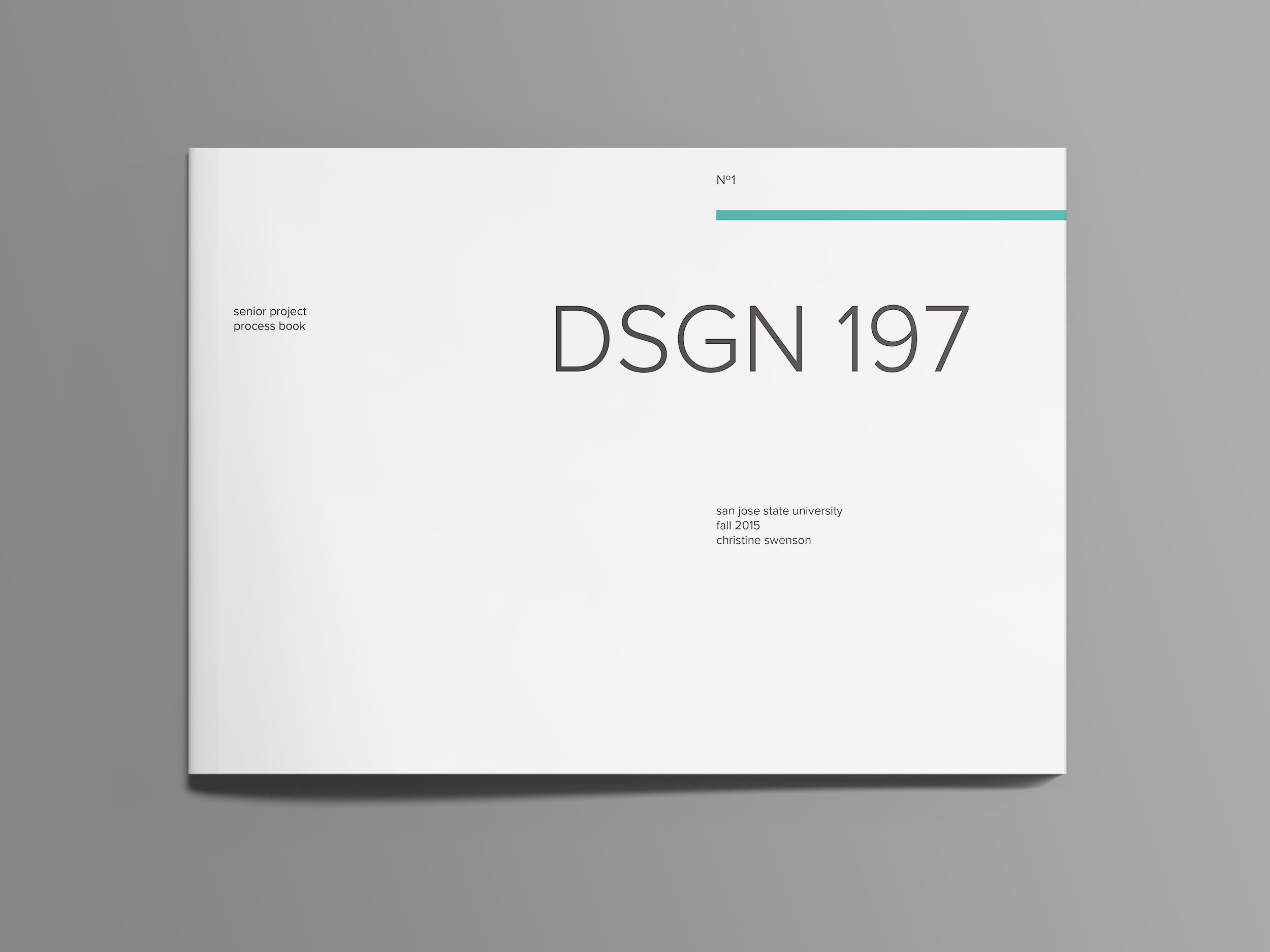 Process Book
