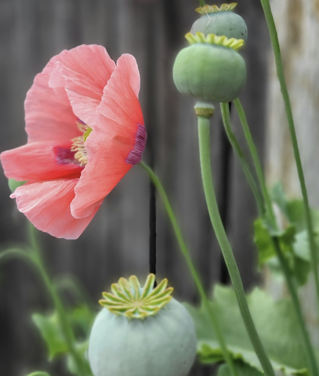 Screen Shot 2026-02-03 at 7.29.40 PM.png