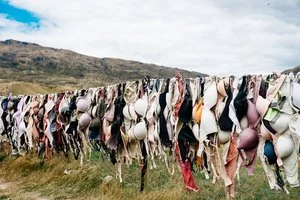 OLD BRAS ARE REPURPOSED FOR A SOCIAL CAMPAIGN FROM THE NEW ZEALAND BREAST CANCER FOUNDATION
