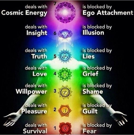 CHAKRA WELLNESS 3.jpg