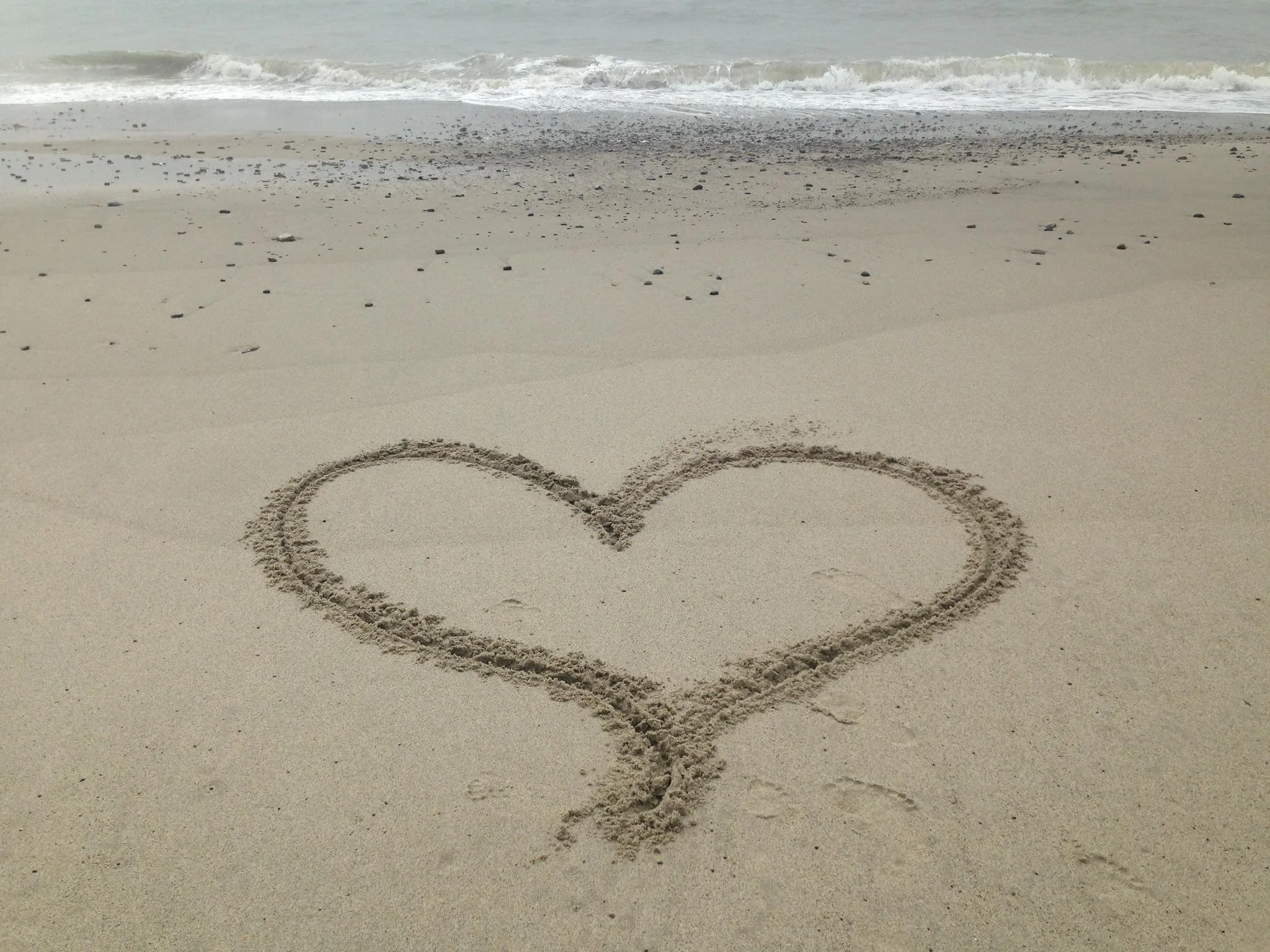 heart.jpg