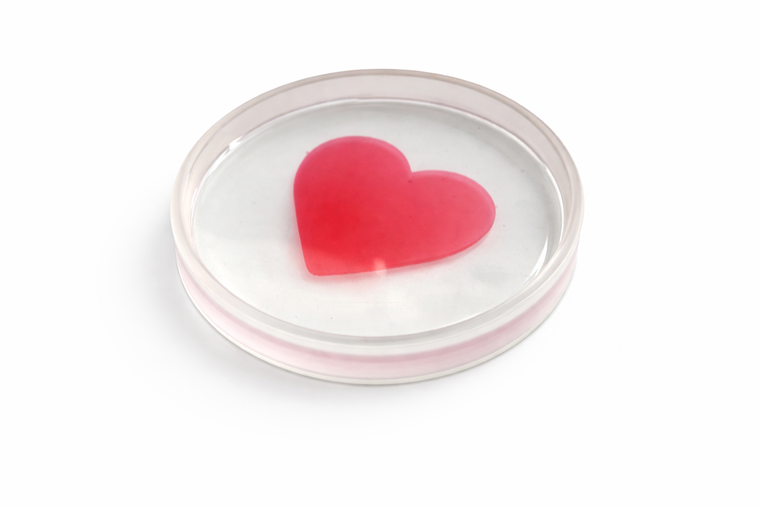 16F1675D-1C8B-4674-8BE9-A7E844FCB8B7.PNG