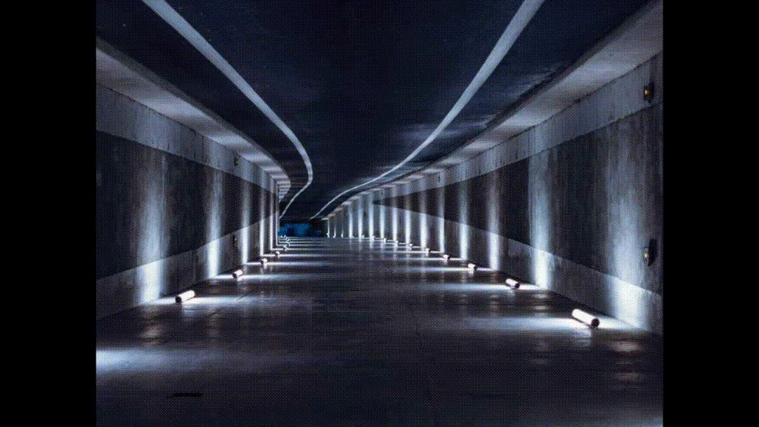 Untitled Project 4 - 1080WebShareName.gif