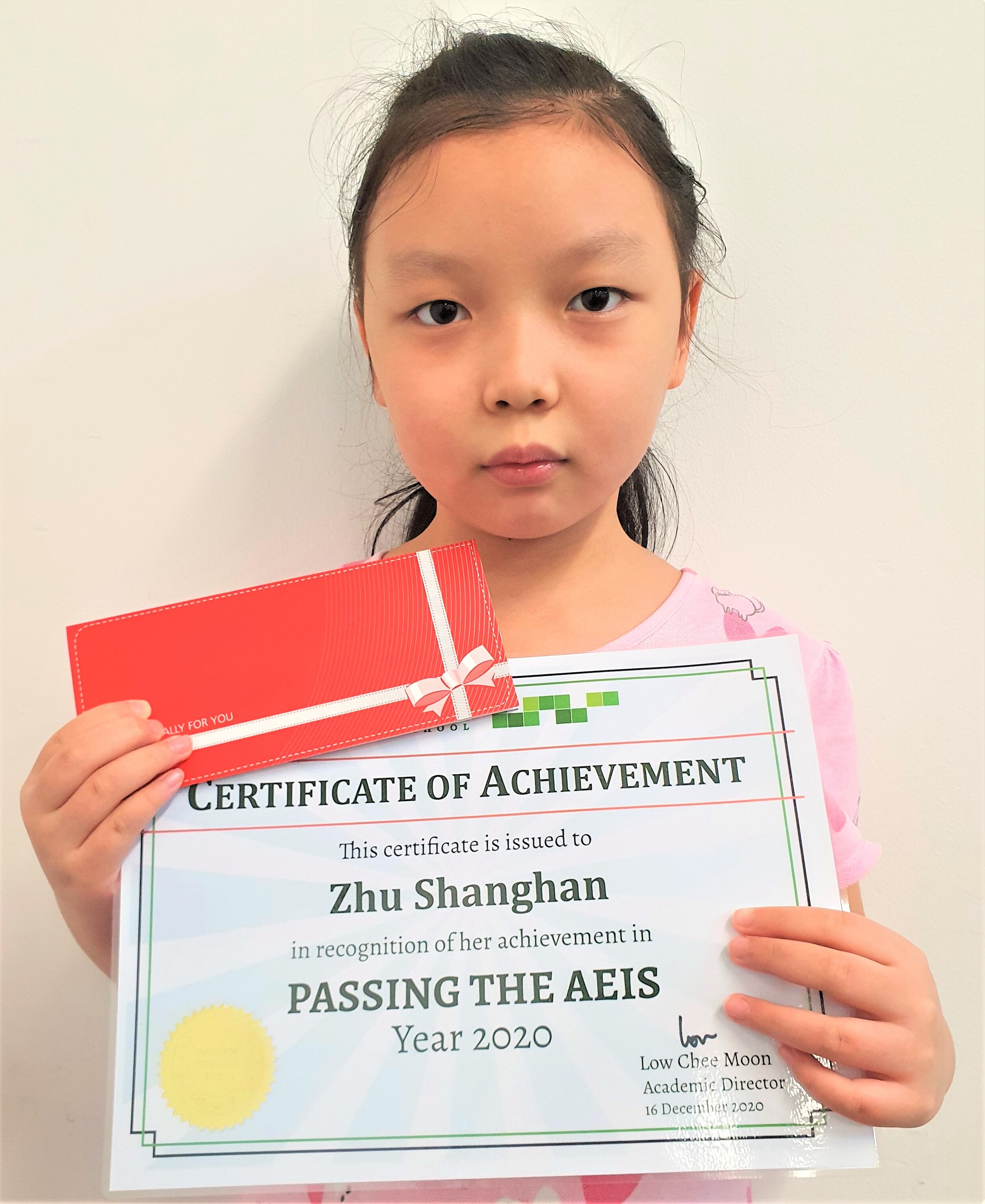 2020 AEIS Individual_Zhu Shanghan_02.jpg