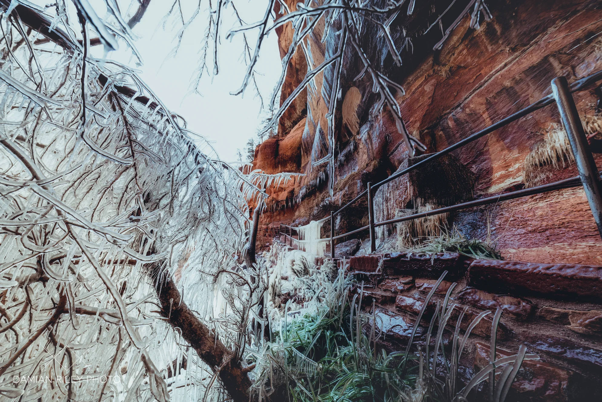 The frozen pathway to Emerald Pools in Zion.. Beware, it's a really icy trail in the winter when you go under the waterfall, watch your step!