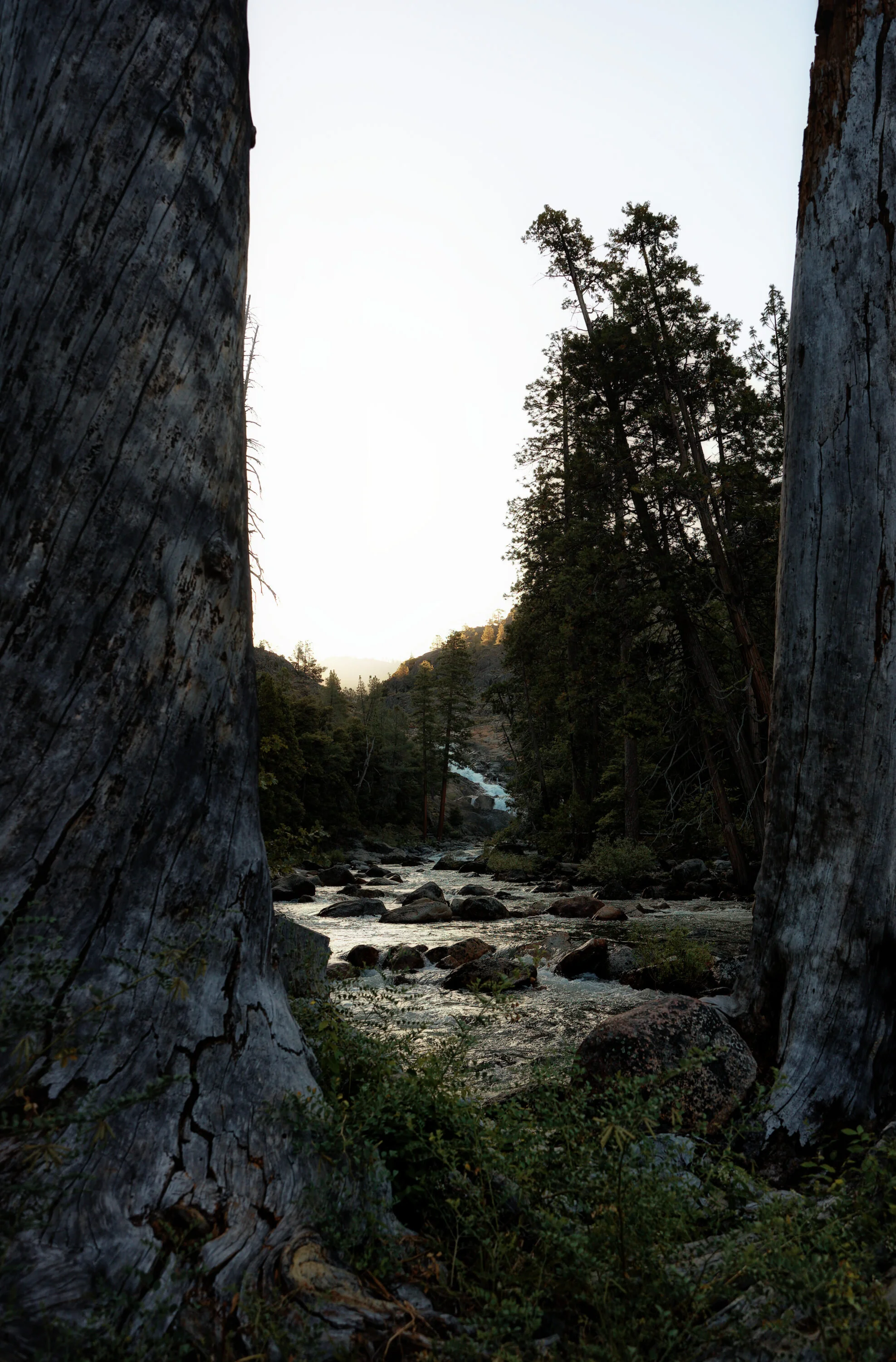 untitled (125 of 693)_Niknw.jpg