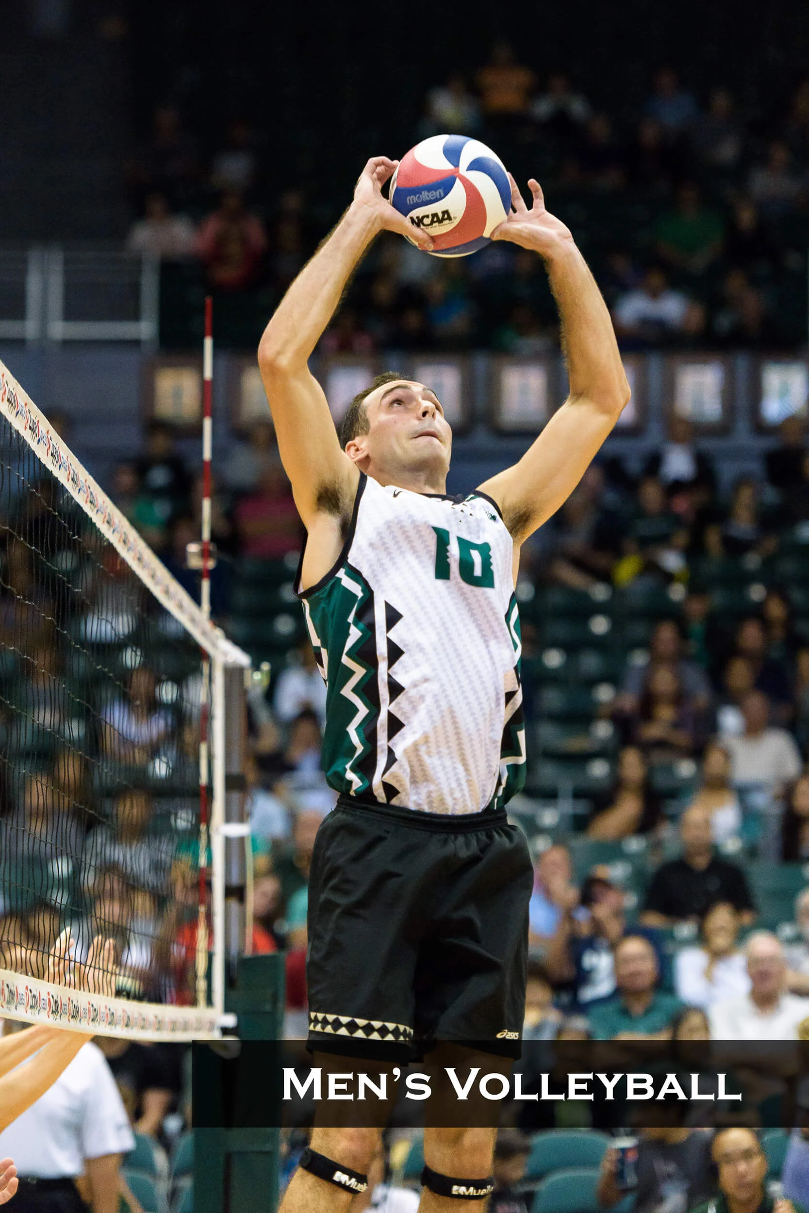 SG_160519_SG_MensVolleyball.jpg