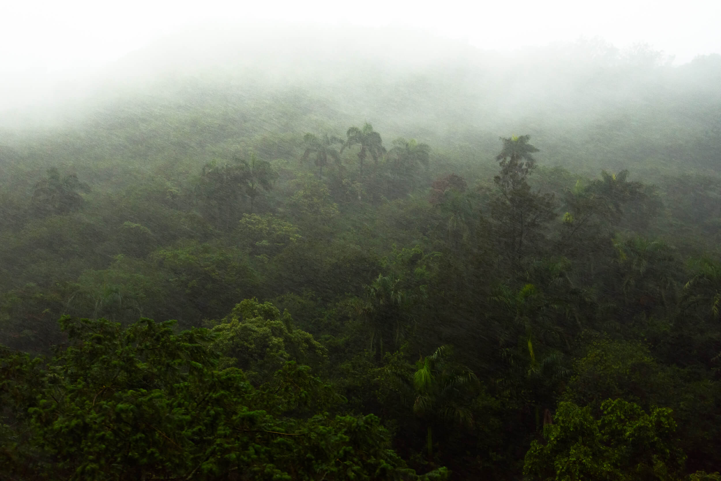 THE KO'OLAU RANGE