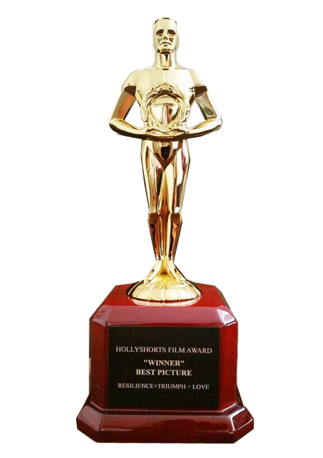 Winner, Best Picture 2016