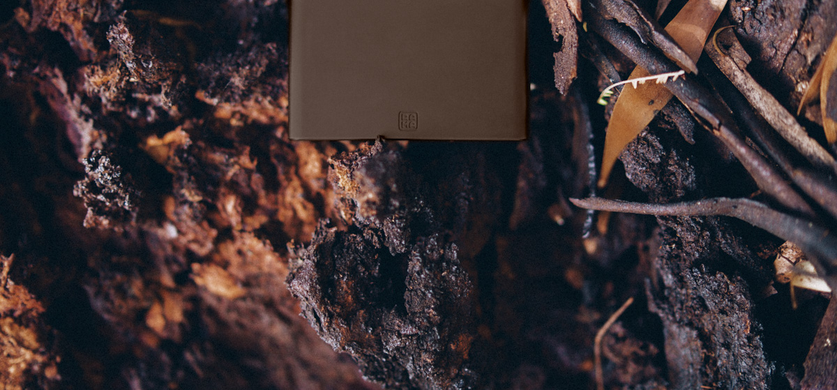 RAMA-C-INVENTORY-2-BROWN-BACK.jpg