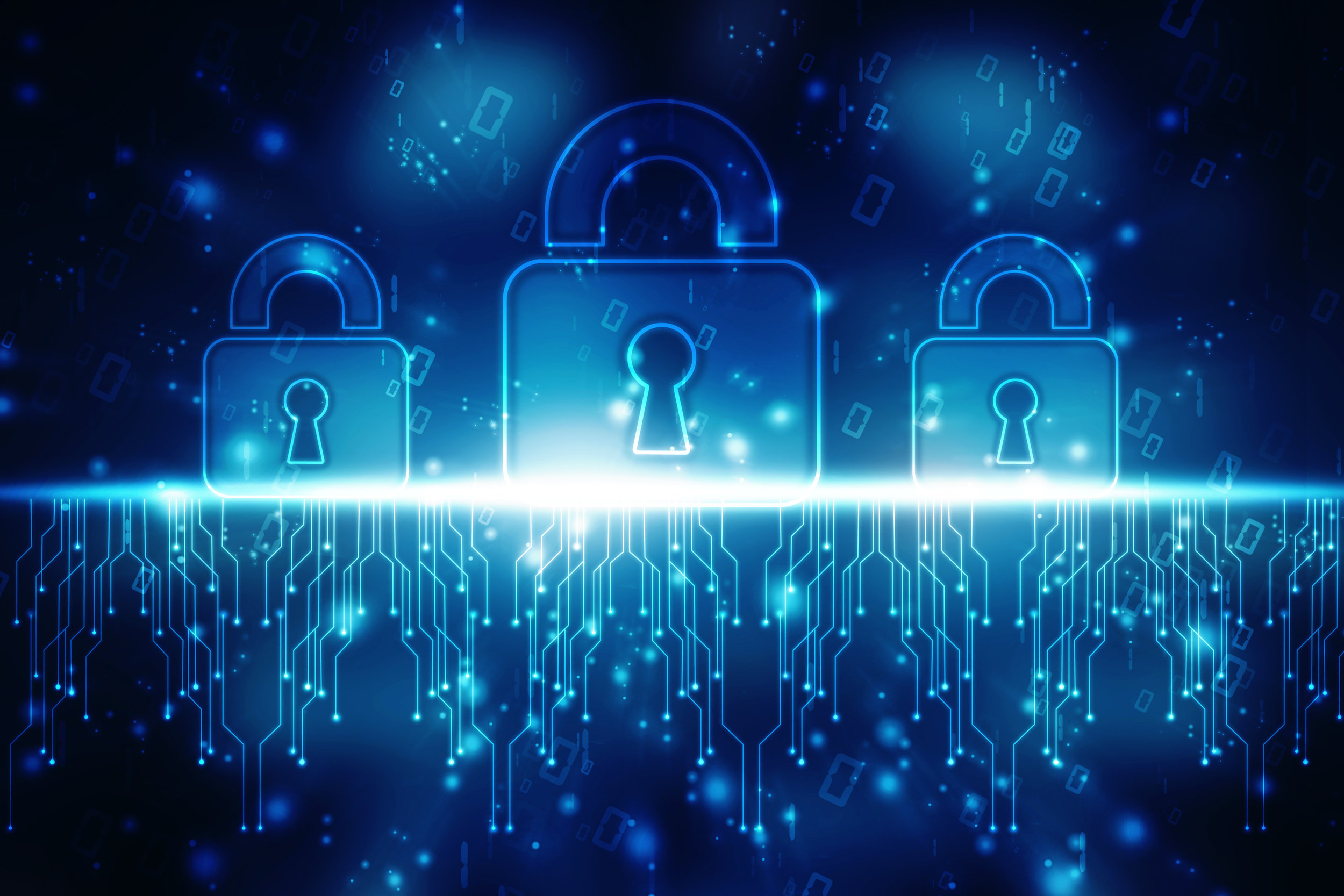 Healthcare Data Privacy and Security.jpg