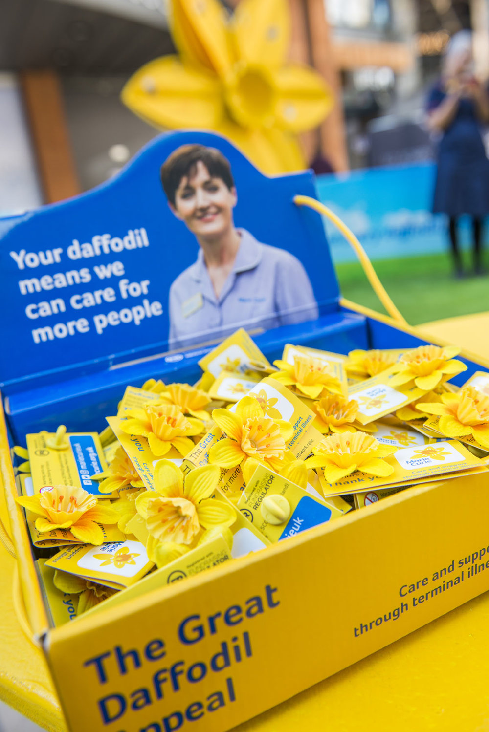 Marie Curie Daffodil Launch Photography