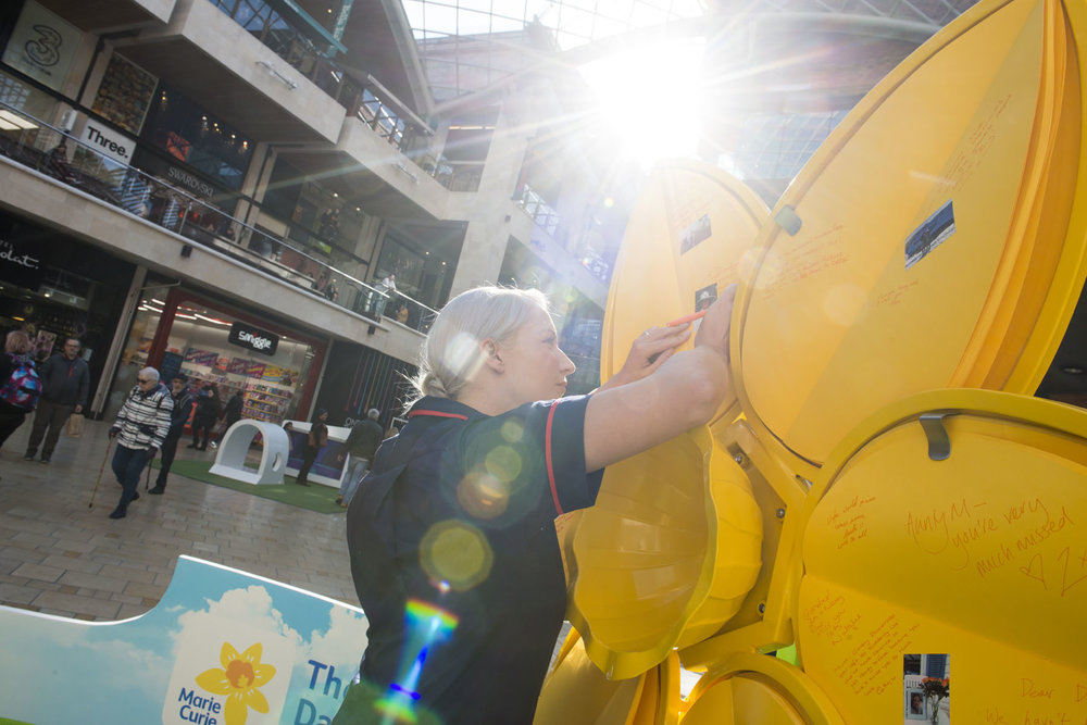 Marie Curie Daffodil Launch Photography